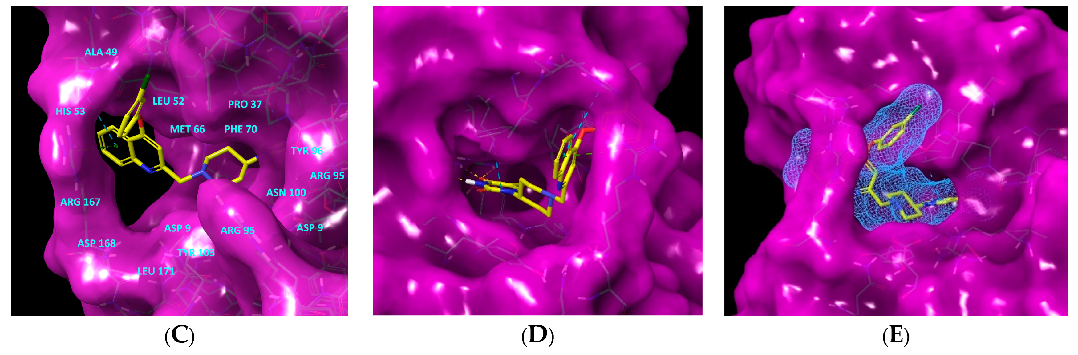 Life 15 00173 g001b Life 15 00173 g001b