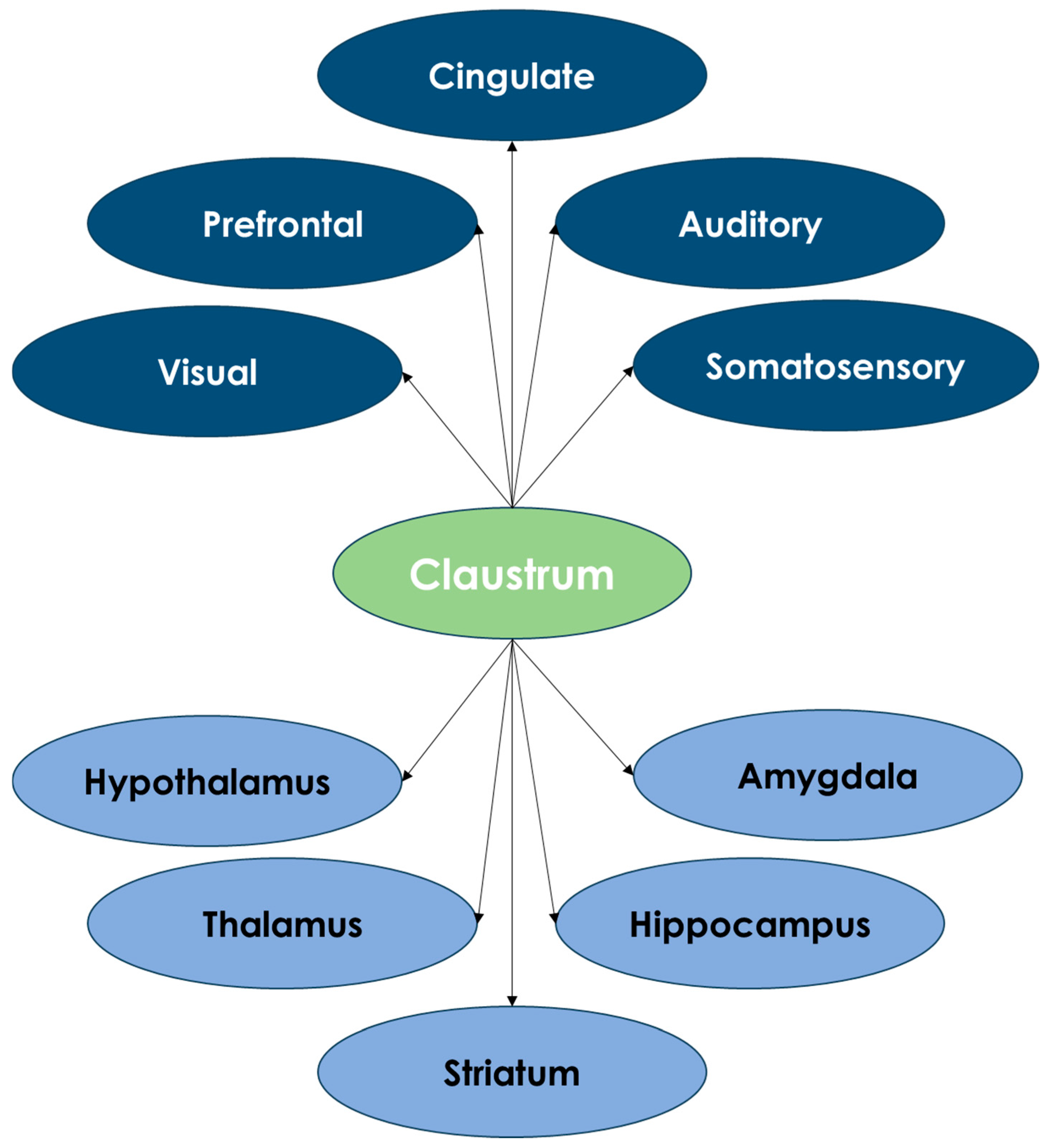 Life 15 00180 g004 Life 15 00180 g004