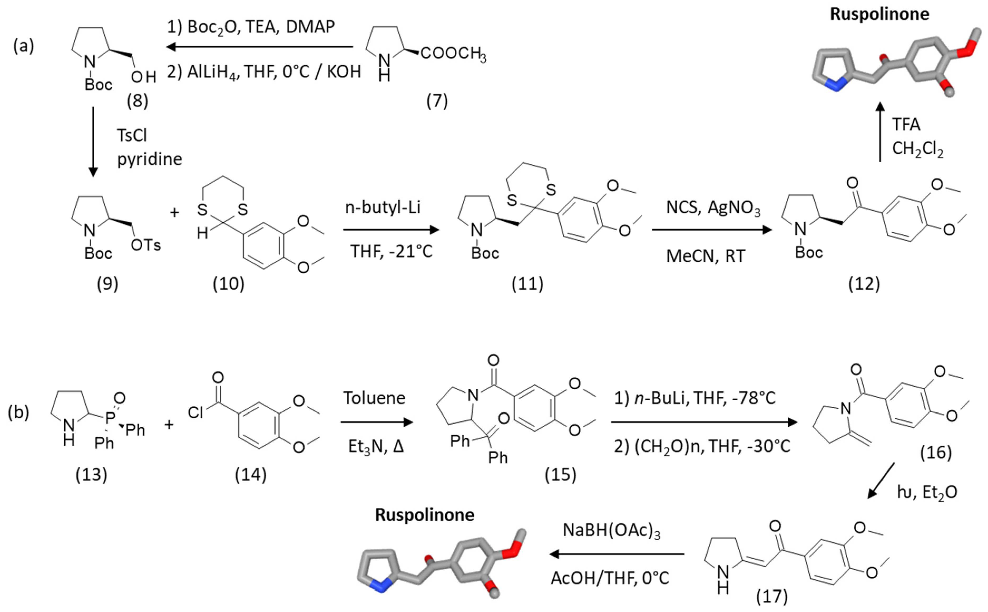Life 15 00221 sch002