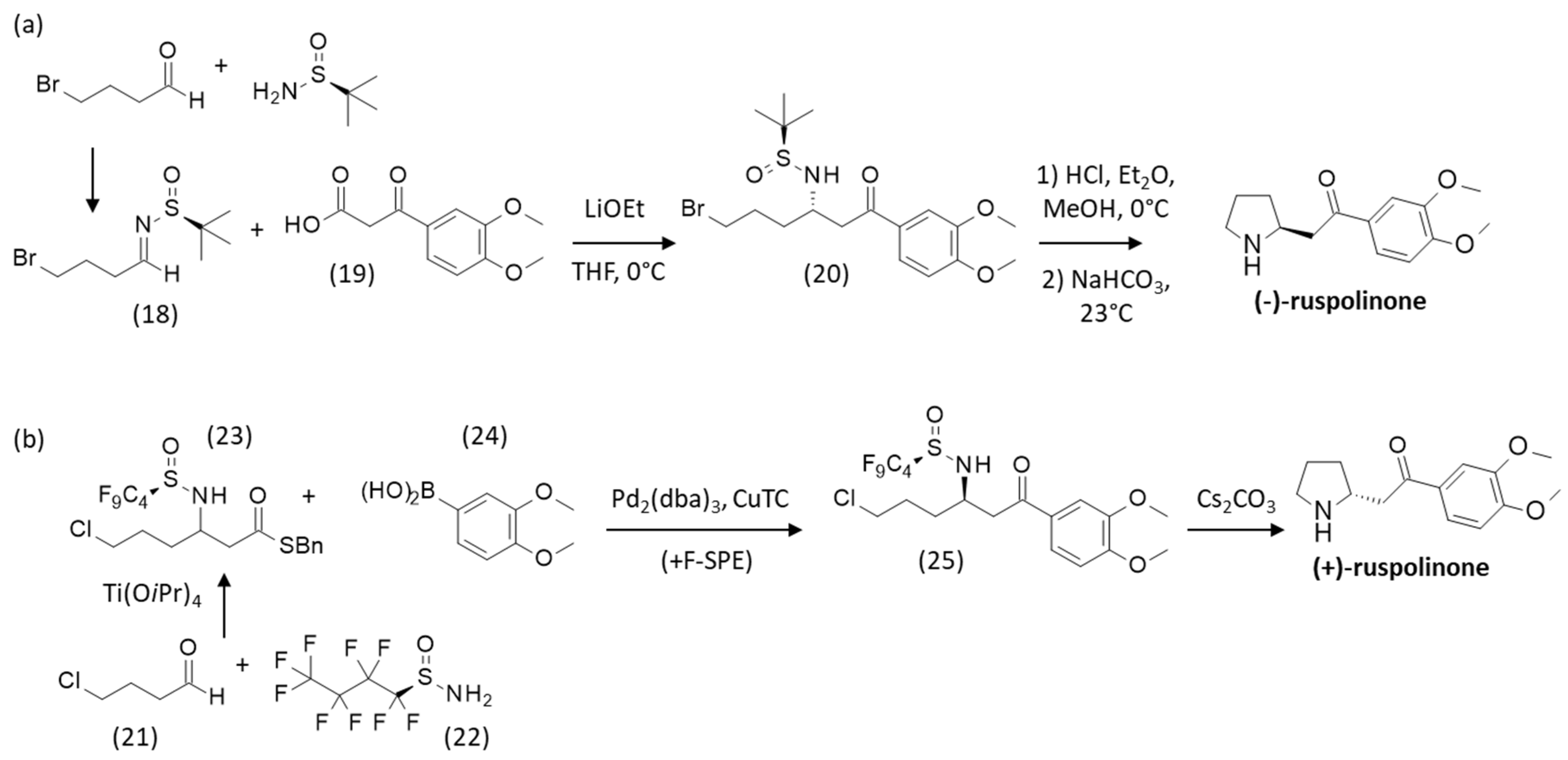Life 15 00221 sch003