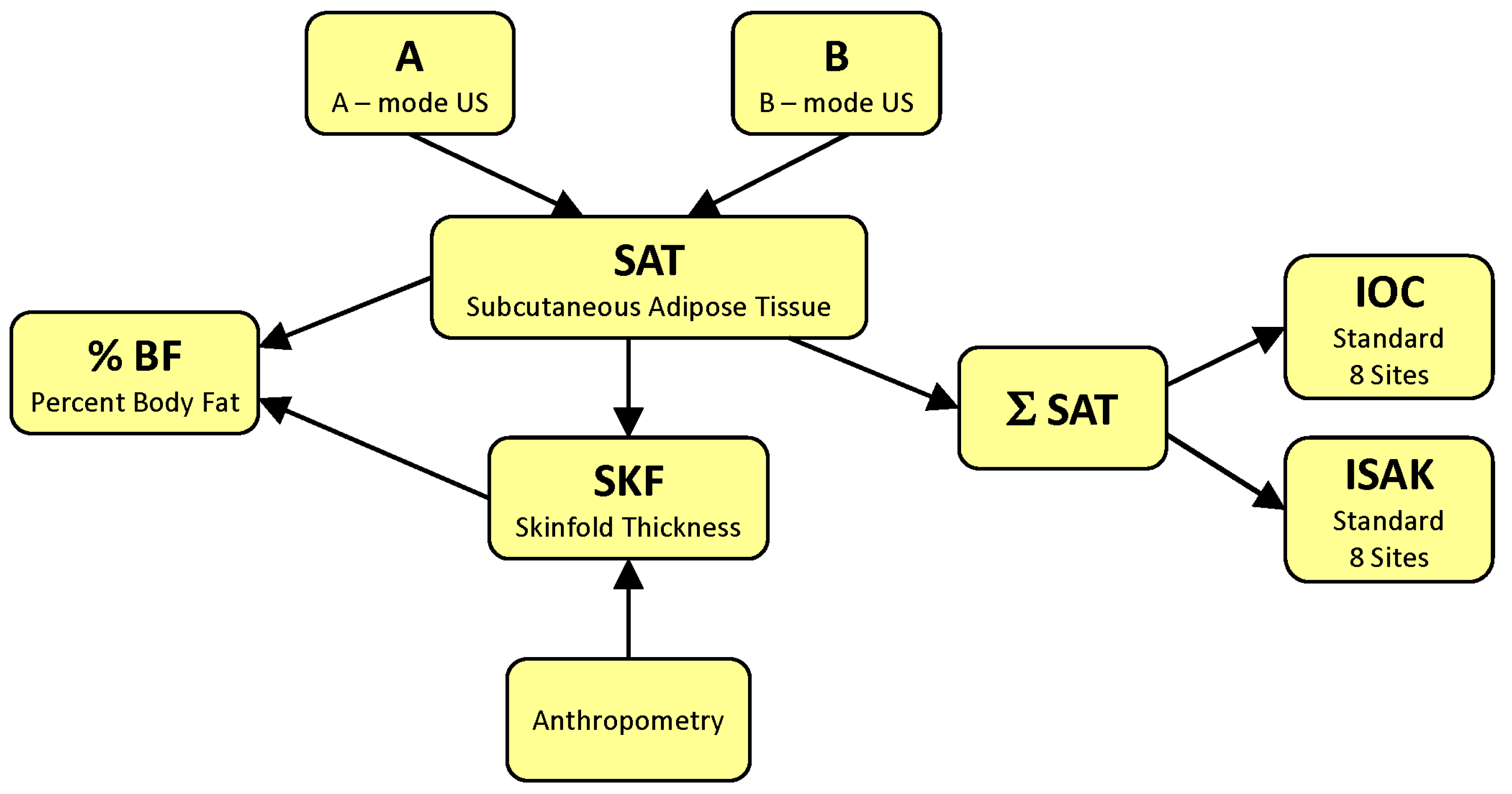 Life 15 00236 g002 Life 15 00236 g002
