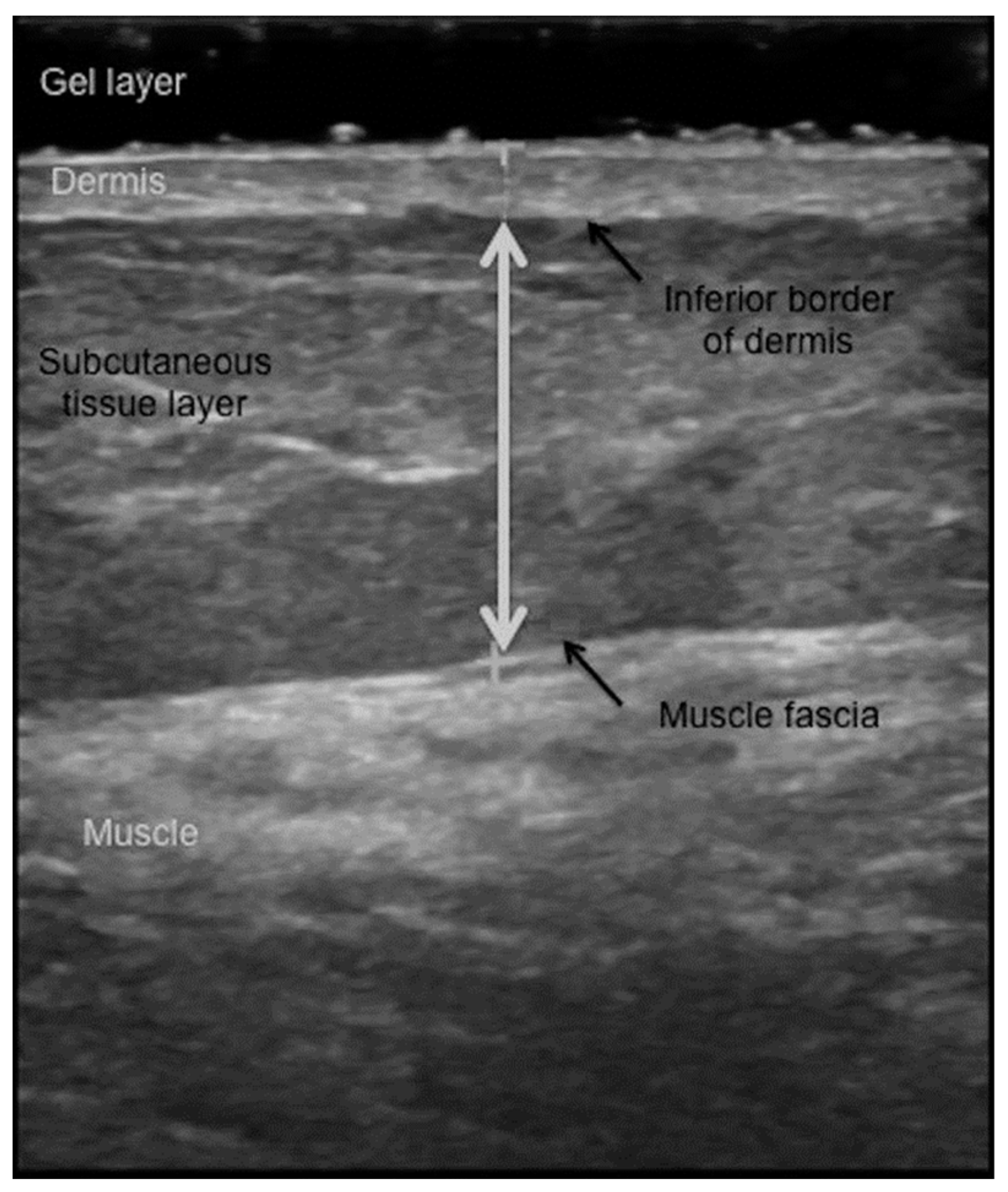 Life 15 00236 g003 Life 15 00236 g003