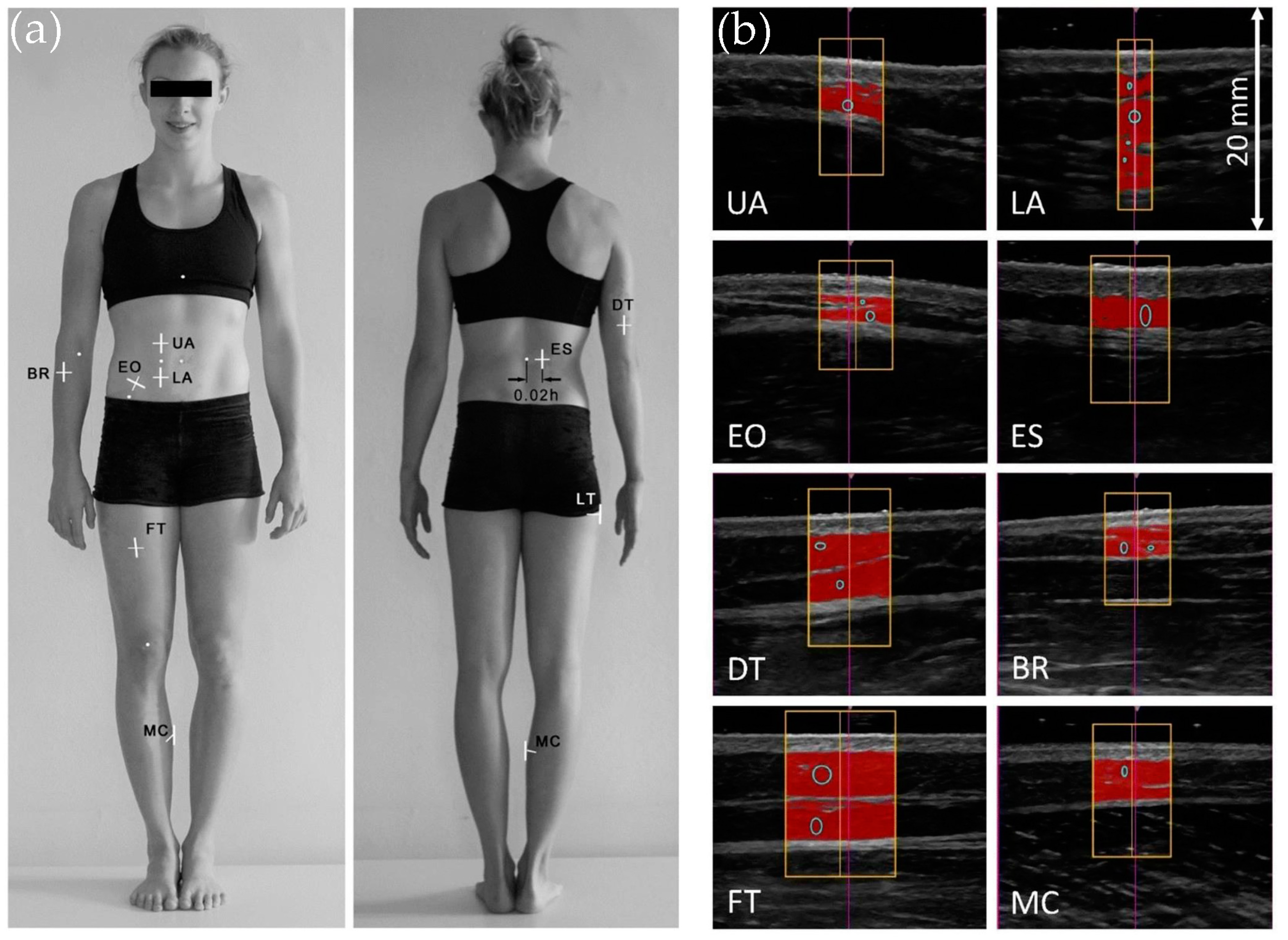 Life 15 00236 g005 Life 15 00236 g005
