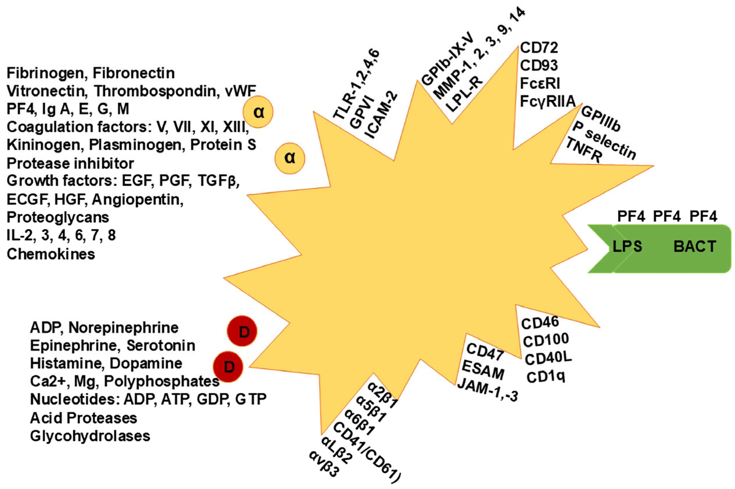 Life 15 00274 g001 Life 15 00274 g001