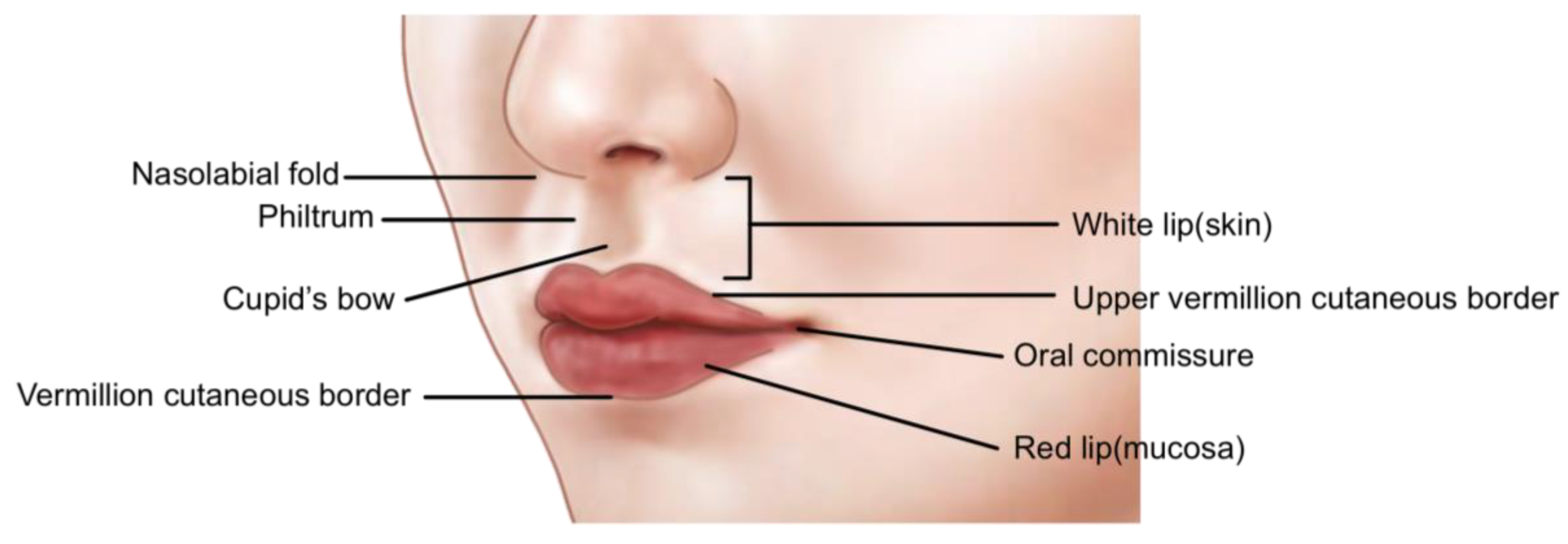 Are Mouth Corner Dimples Cute - Infoupdate.org