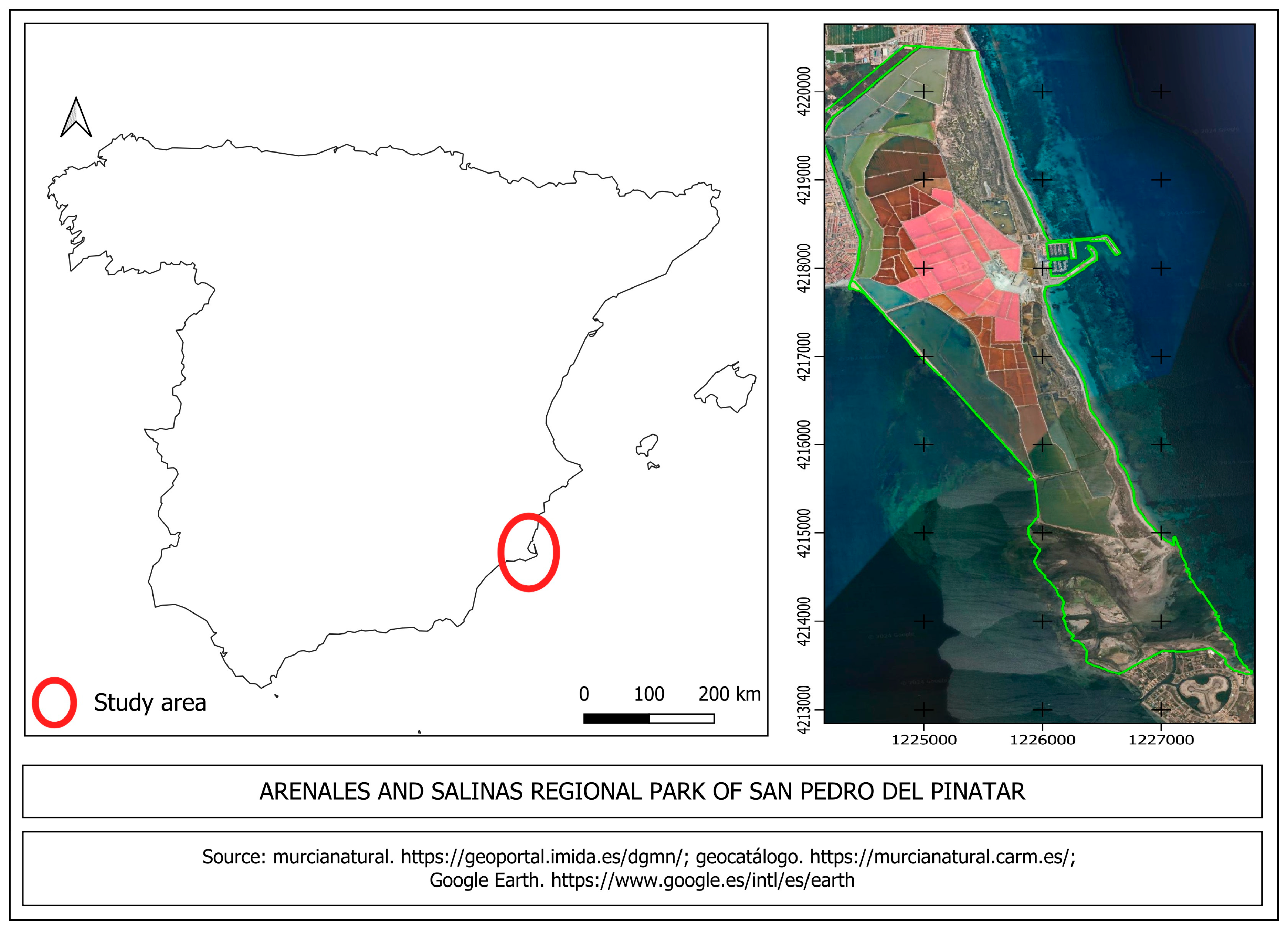 Life 15 00361 g001 Life 15 00361 g001