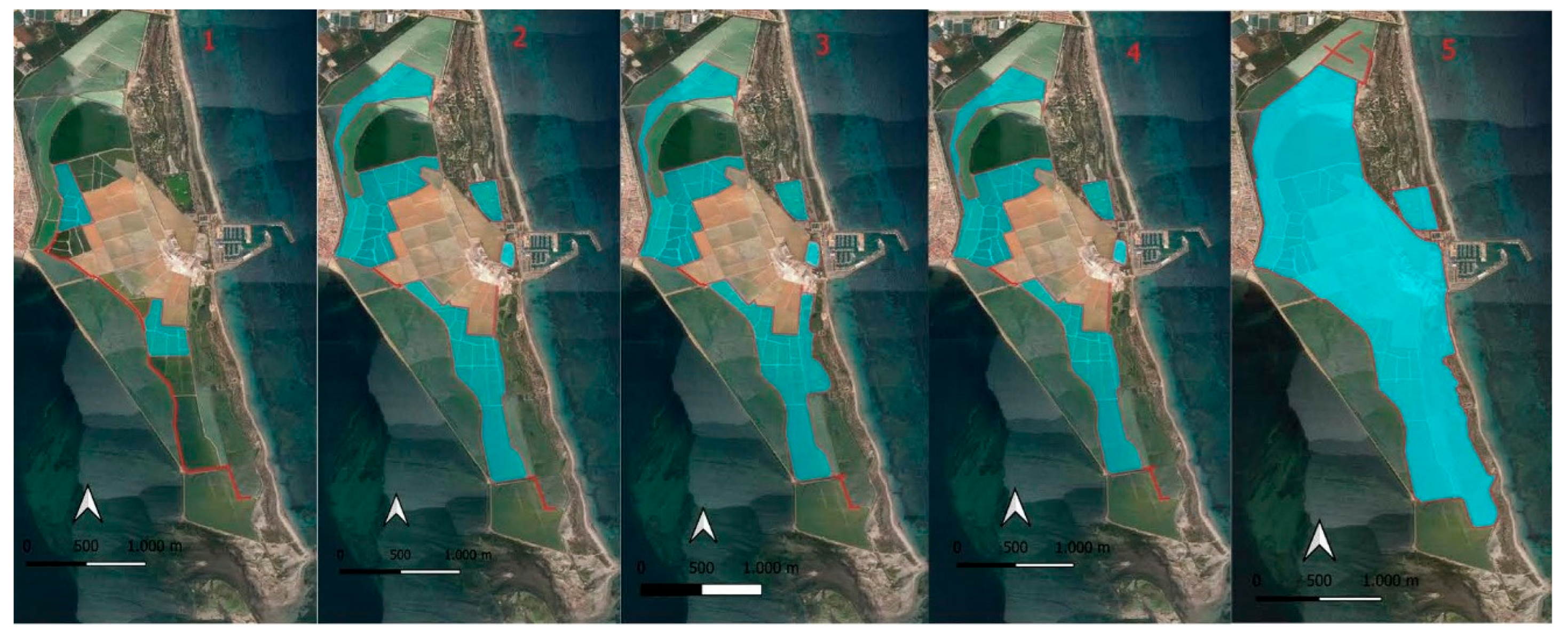 Life 15 00361 g002 Life 15 00361 g002