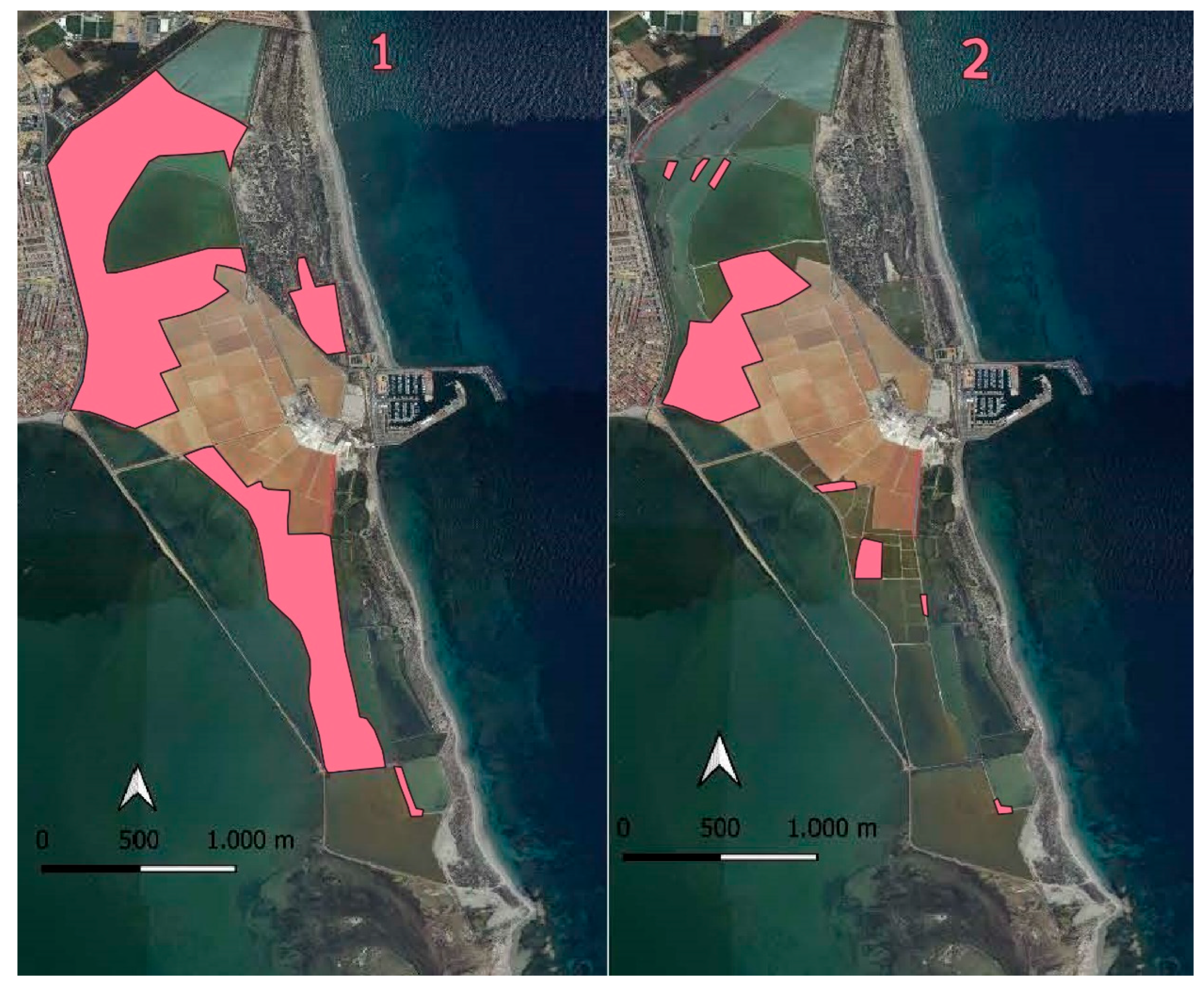 Life 15 00361 g006 Life 15 00361 g006