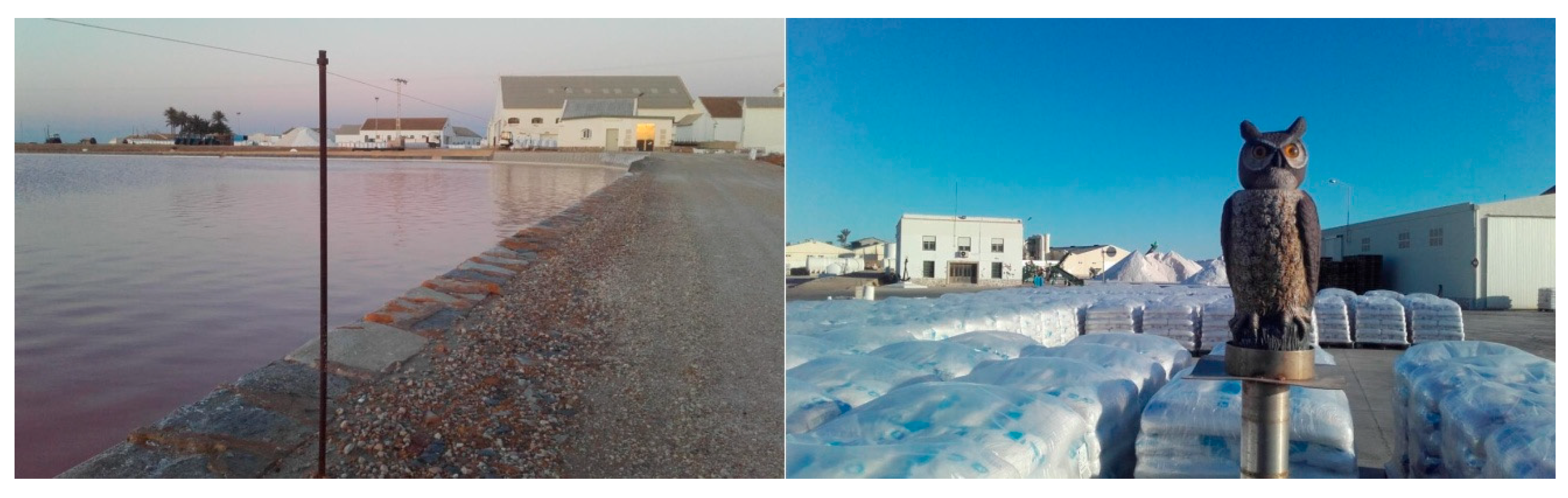 Life 15 00361 g007 Life 15 00361 g007