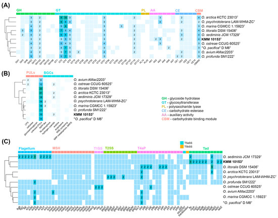 Phenotypic and Genomic Characterization of Oceanisphaera
