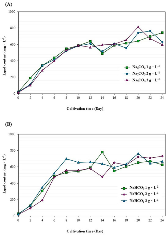 mi様 172772254_o1.jpg?