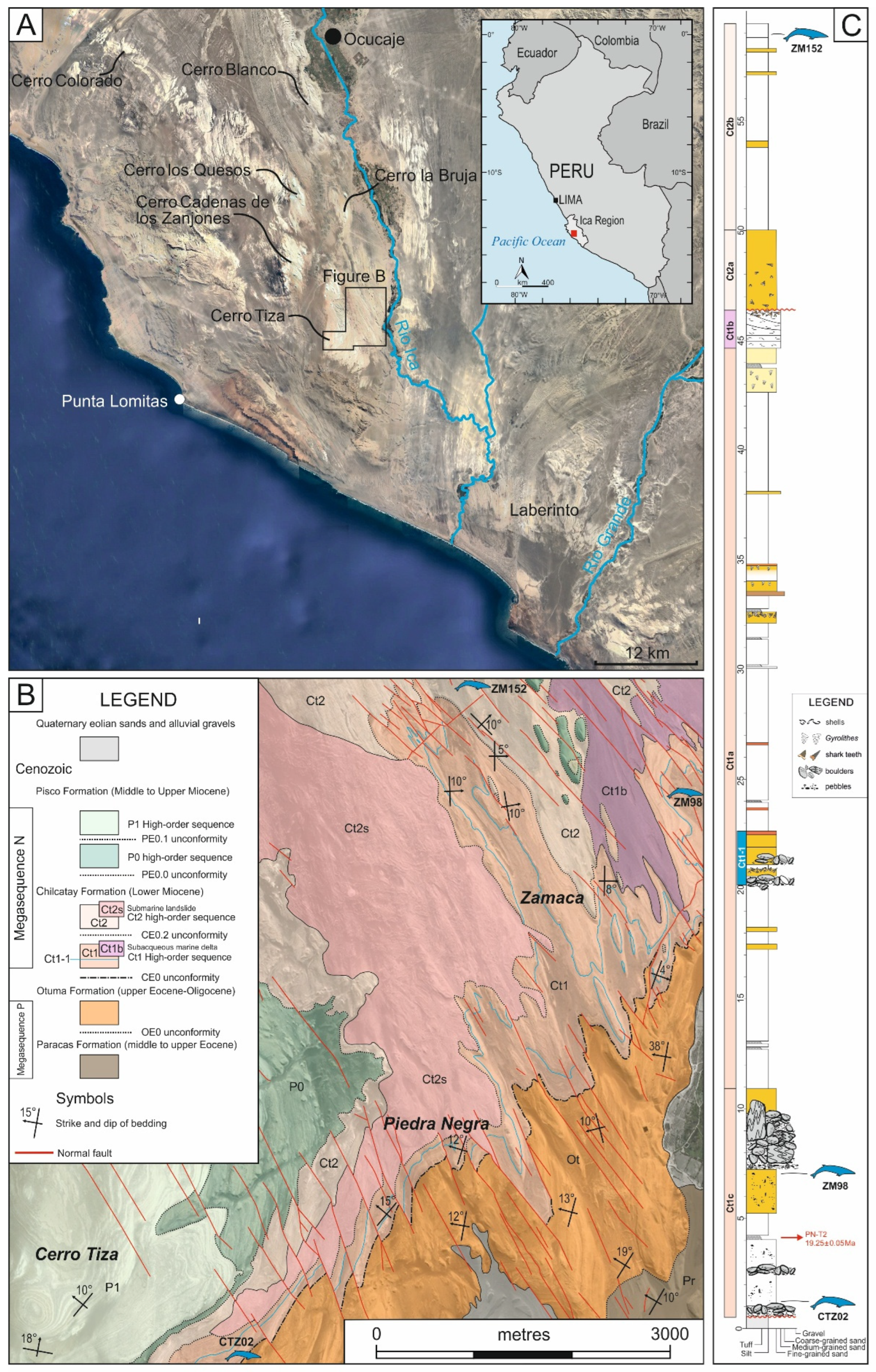 Life 15 00452 g001 Life 15 00452 g001