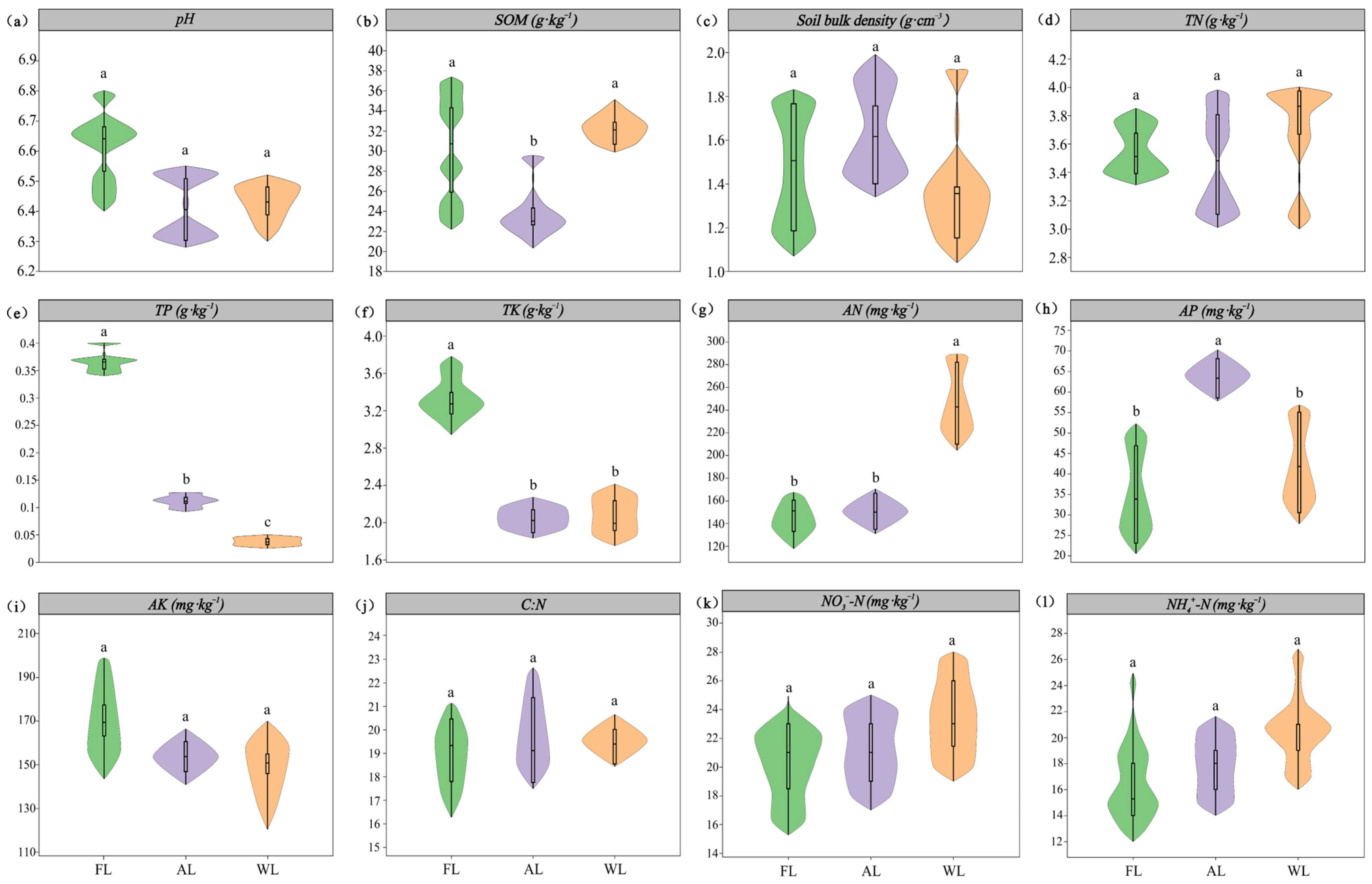 Impacts of Land Use on Soil Nitrogen-Cycling Microbial