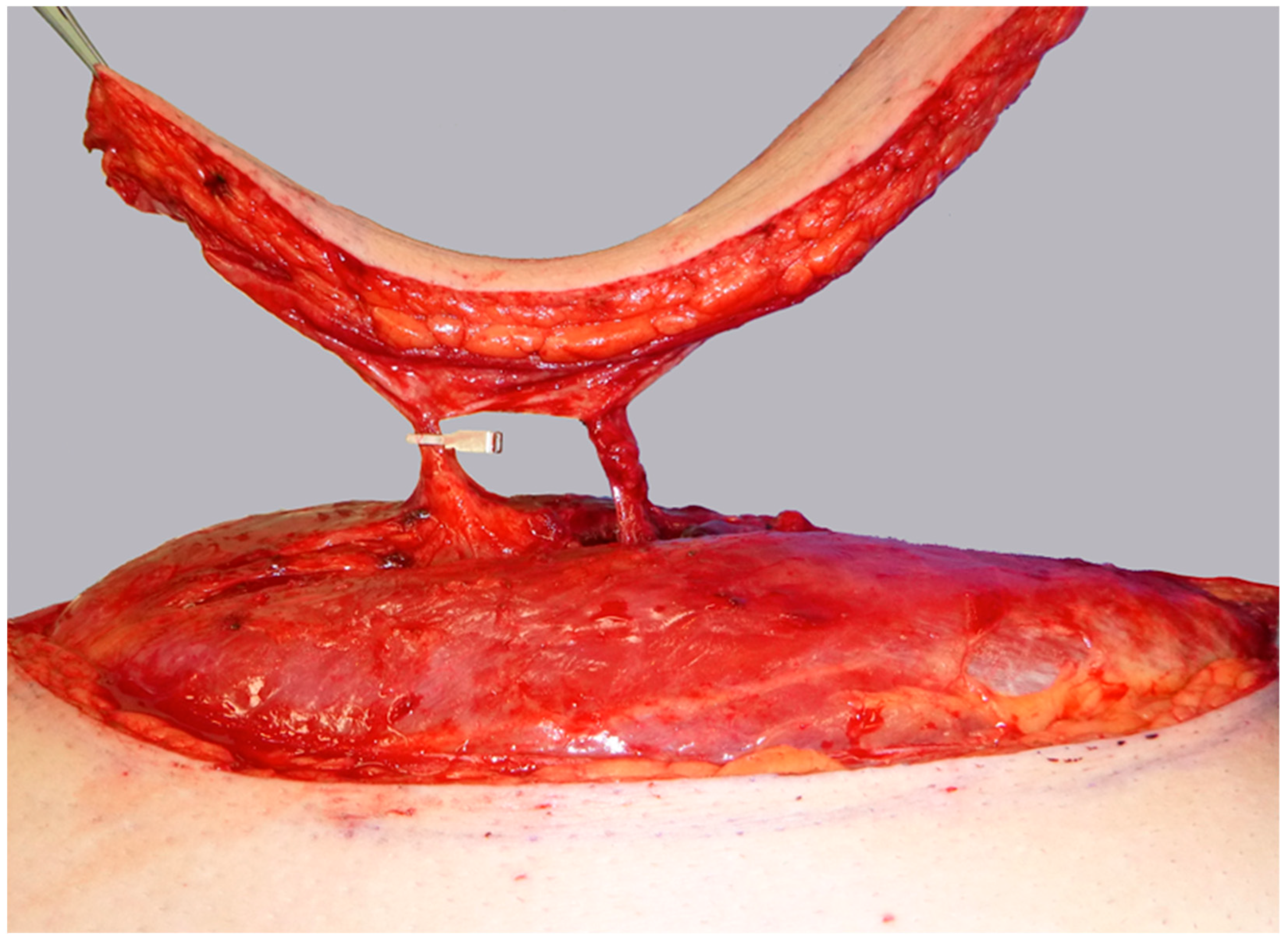 Life 15 00620 g005 Life 15 00620 g005