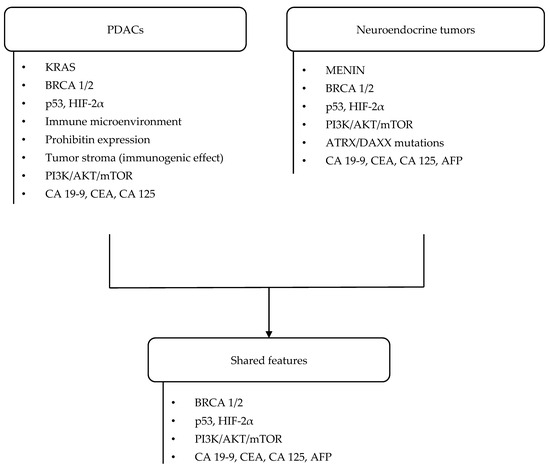 Prognostic Impact of Phenotypic and Genetic Features of