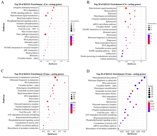 Integrated Analysis of Long Non-Coding RNAs and mRNAs Reveals Key Trans ...