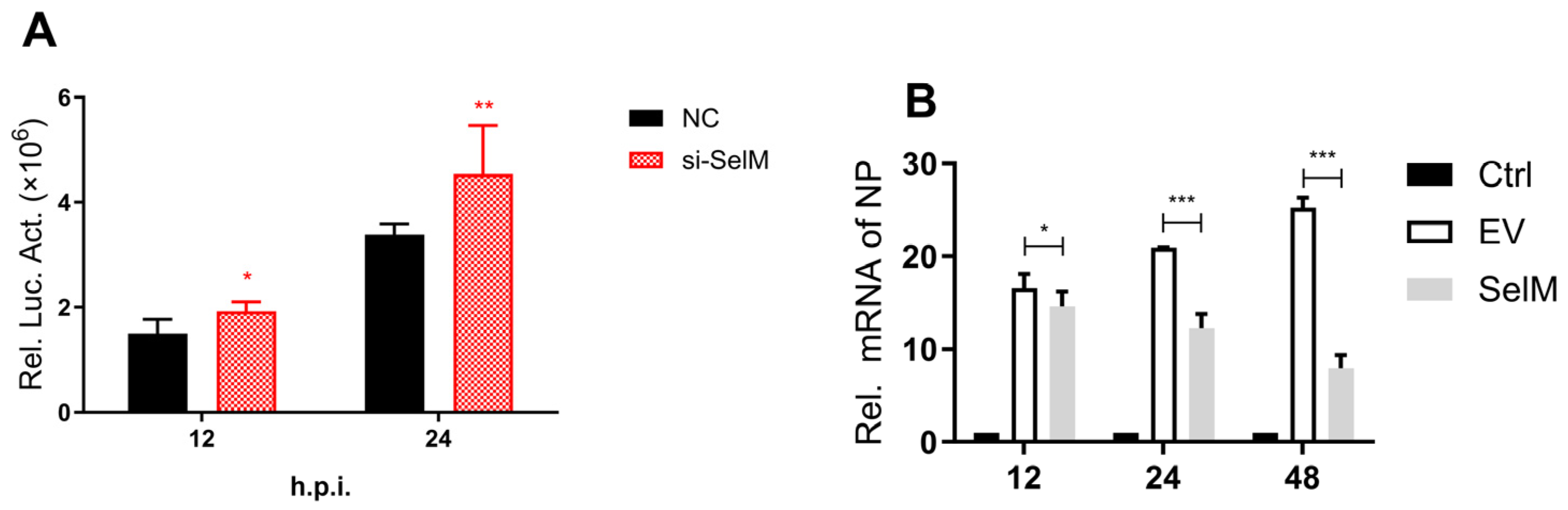 Life 15 00714 g001a Life 15 00714 g001a
