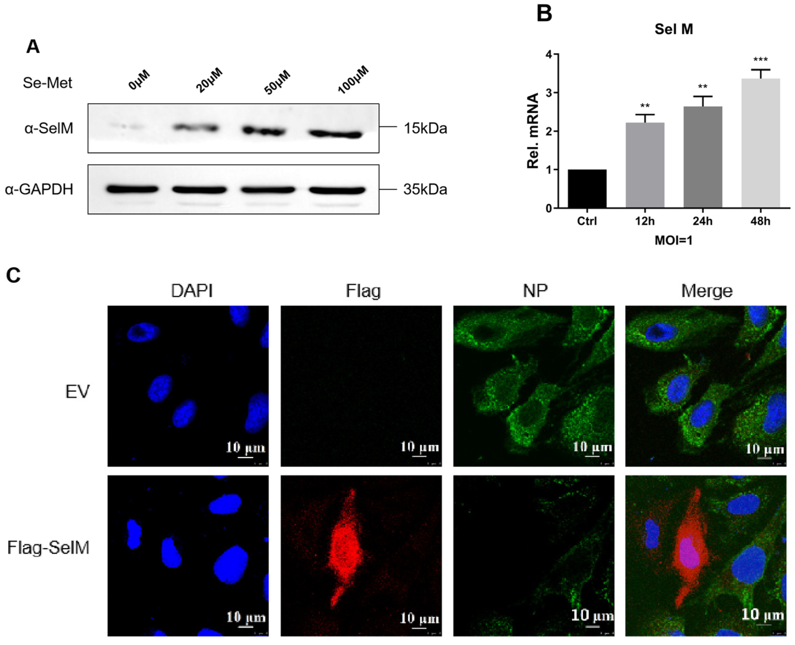 Life 15 00714 g003 Life 15 00714 g003