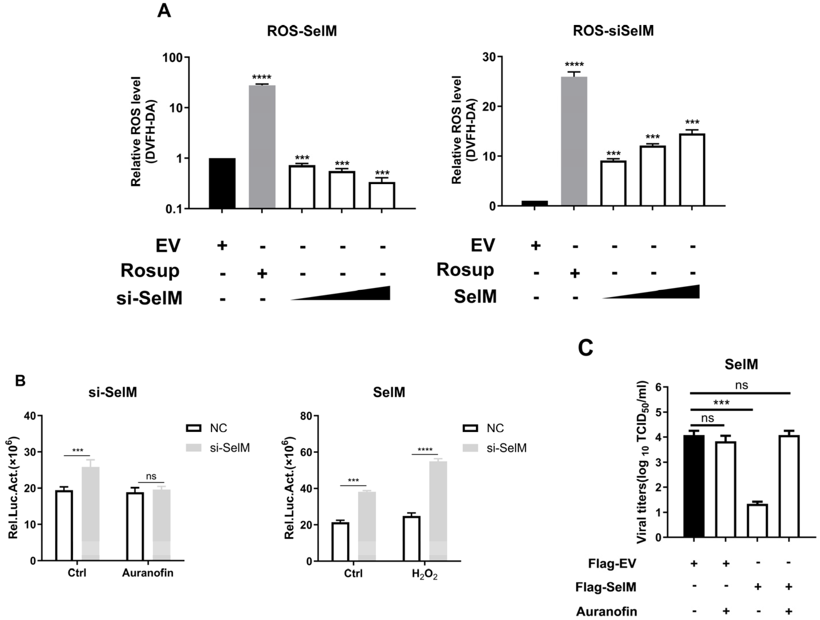 Life 15 00714 g004 Life 15 00714 g004