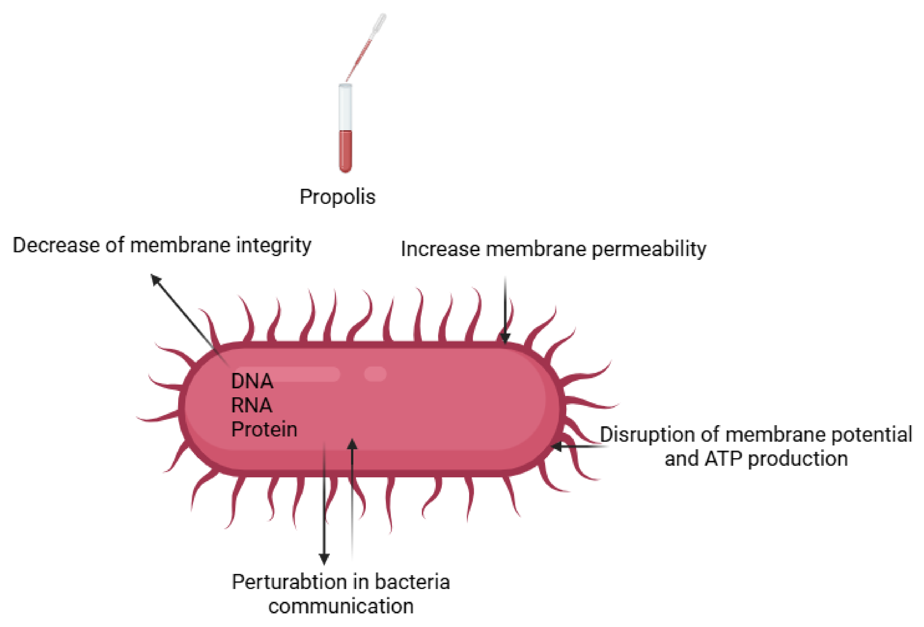 Life 15 00764 g006 Life 15 00764 g006