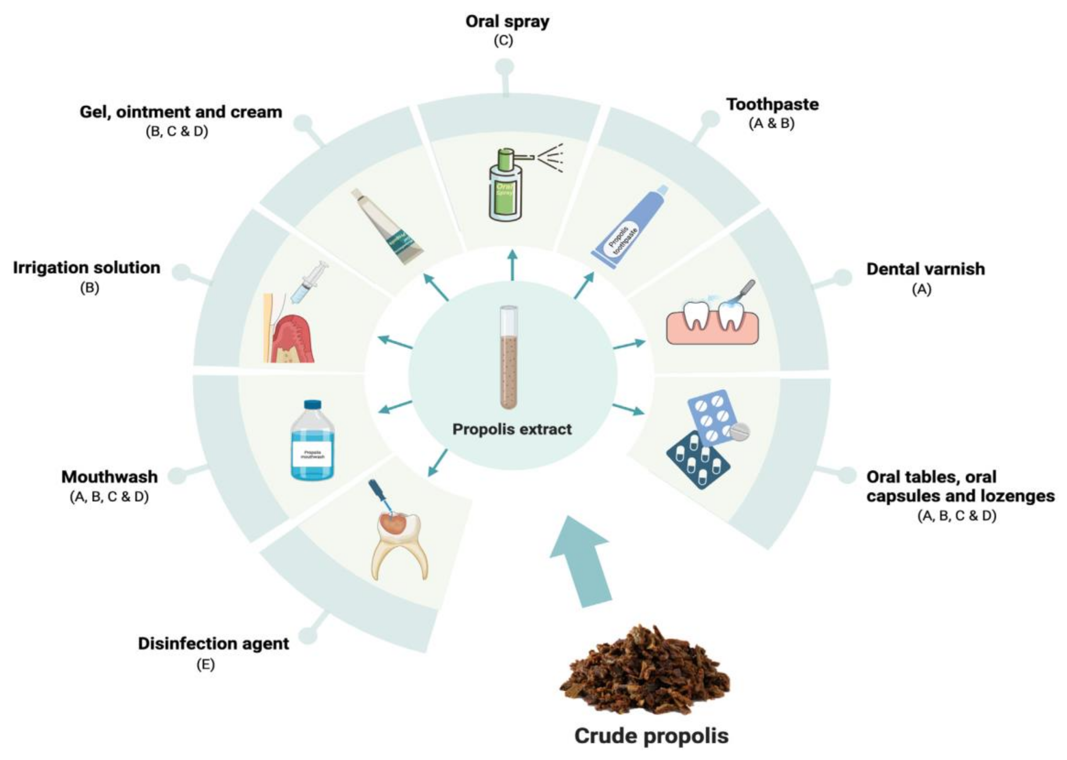 Life 15 00764 g009 Life 15 00764 g009