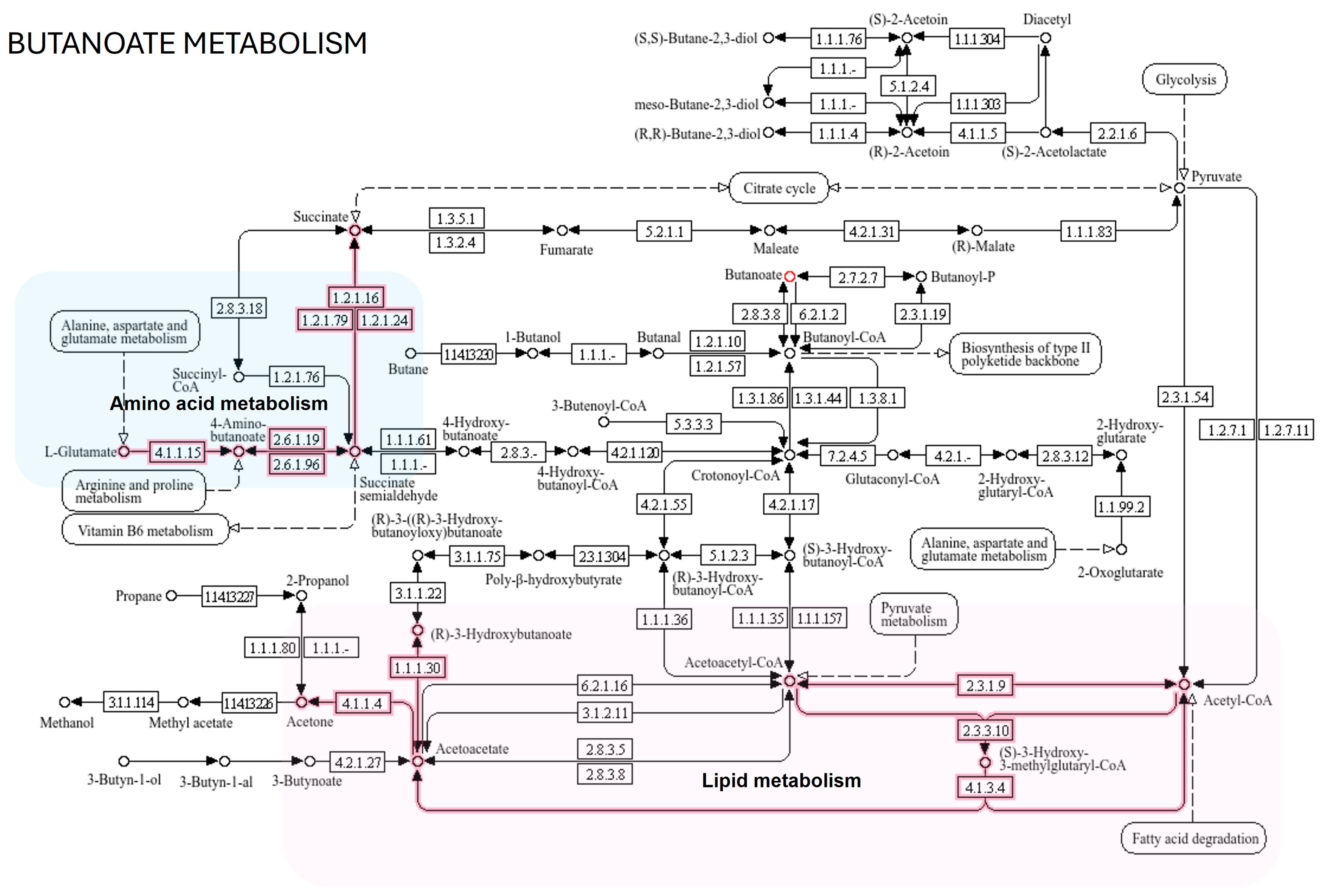 Life 15 00765 g007 Life 15 00765 g007