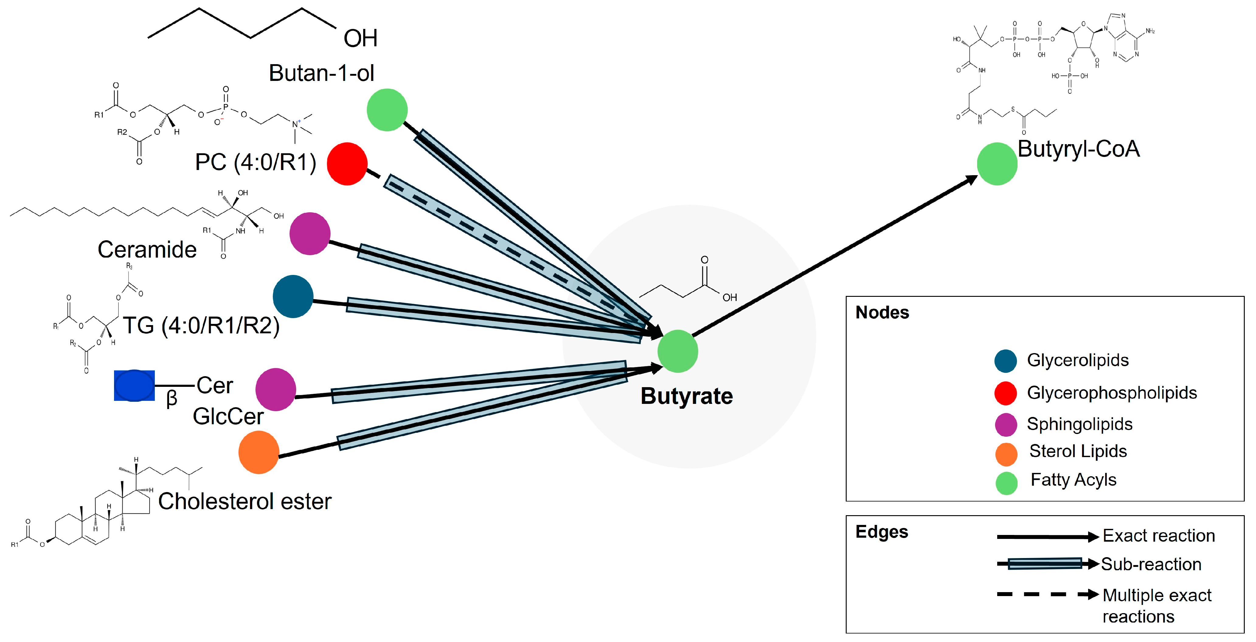 Life 15 00765 g008 Life 15 00765 g008