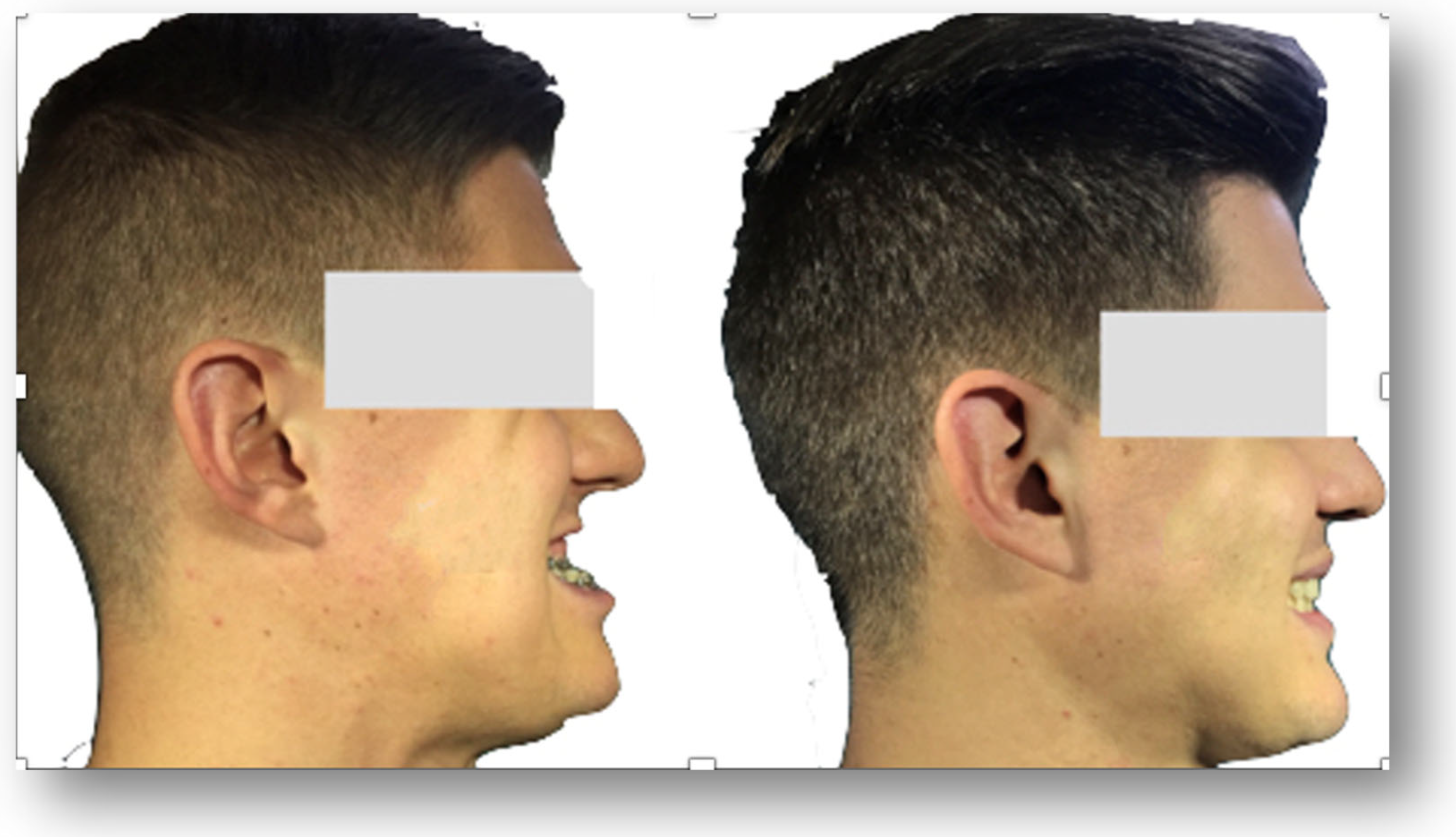 Life 15 00770 g001 Life 15 00770 g001