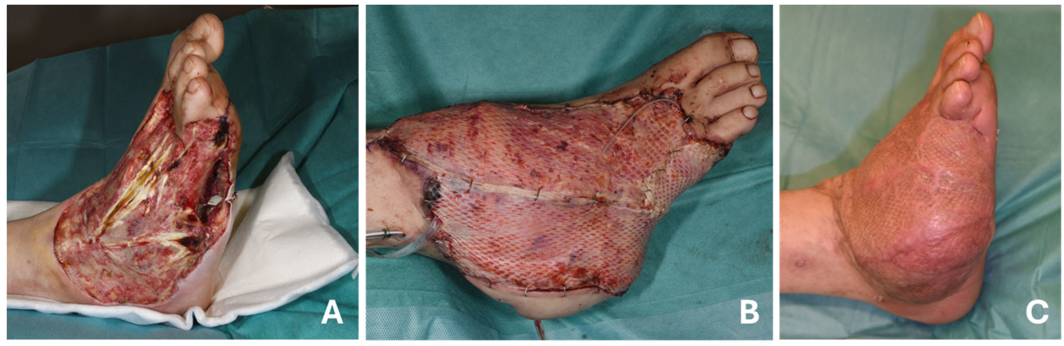 Life 15 00775 g001 Life 15 00775 g001