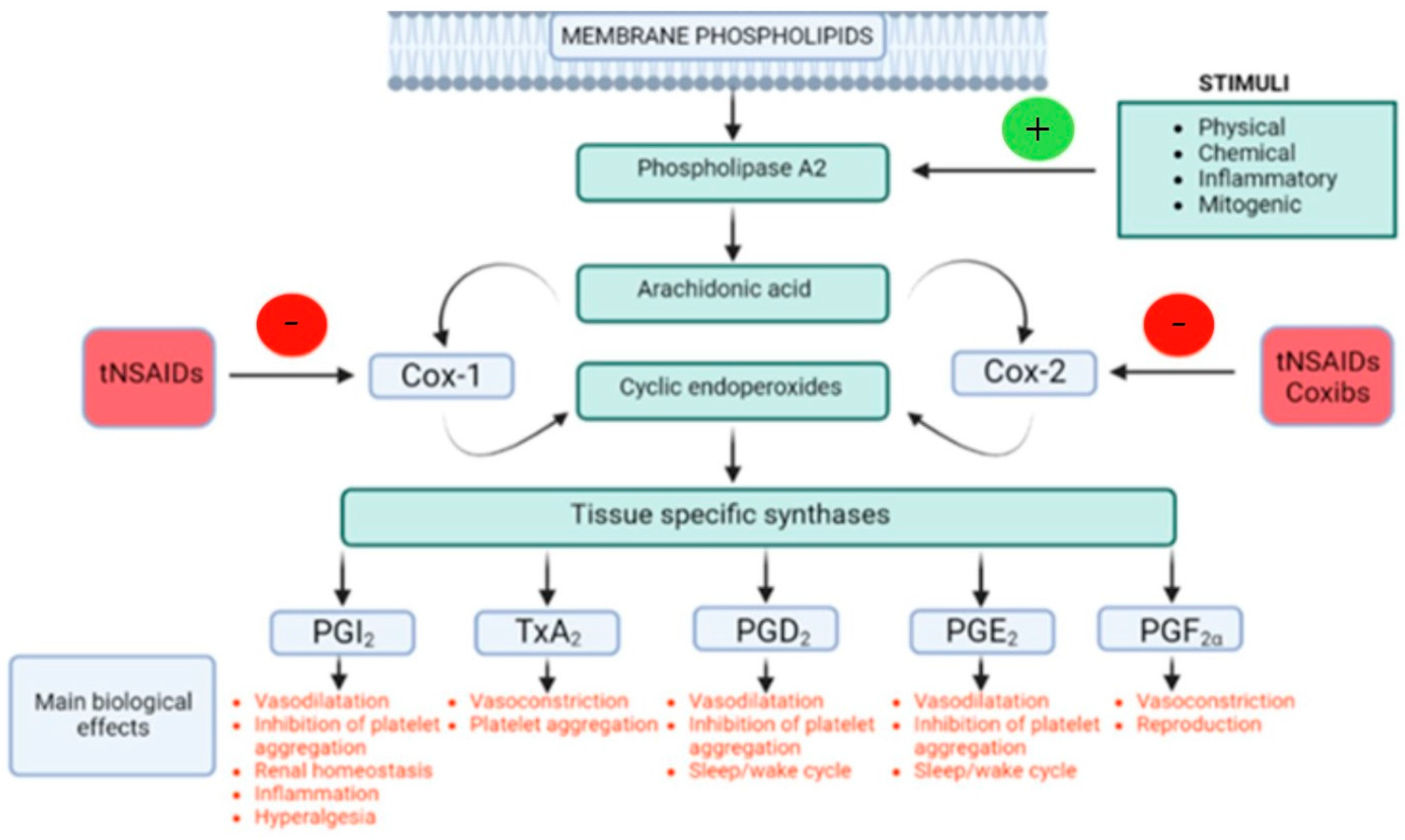 Life 15 00782 g002 Life 15 00782 g002