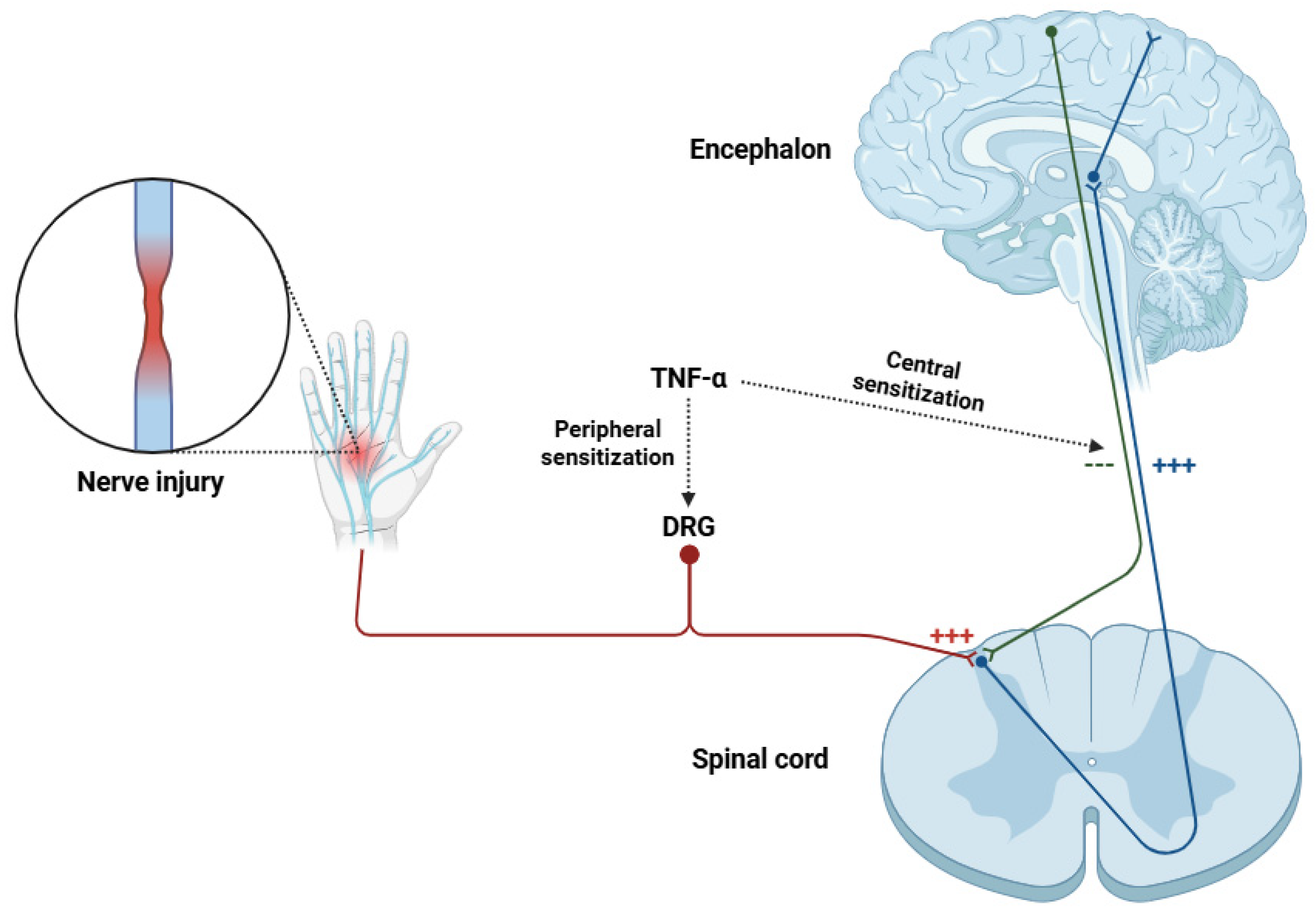 Life 15 00785 g004 Life 15 00785 g004