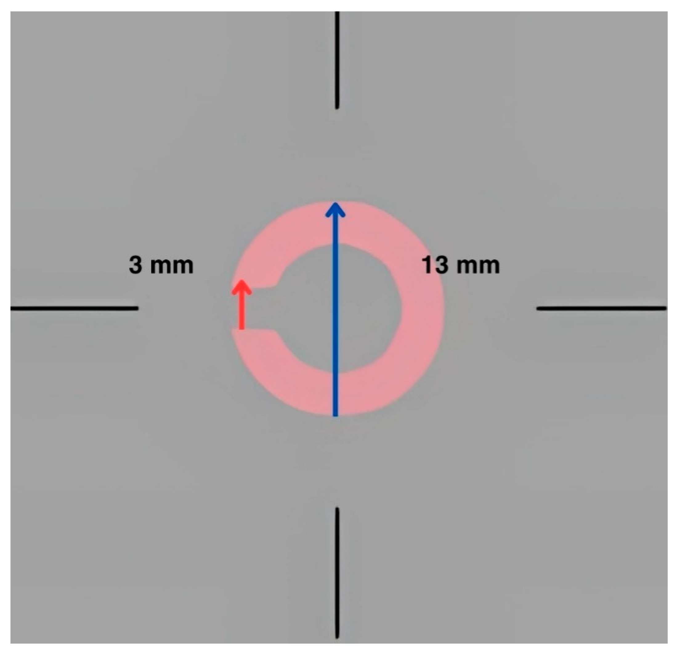 Life 15 00801 g002 Life 15 00801 g002