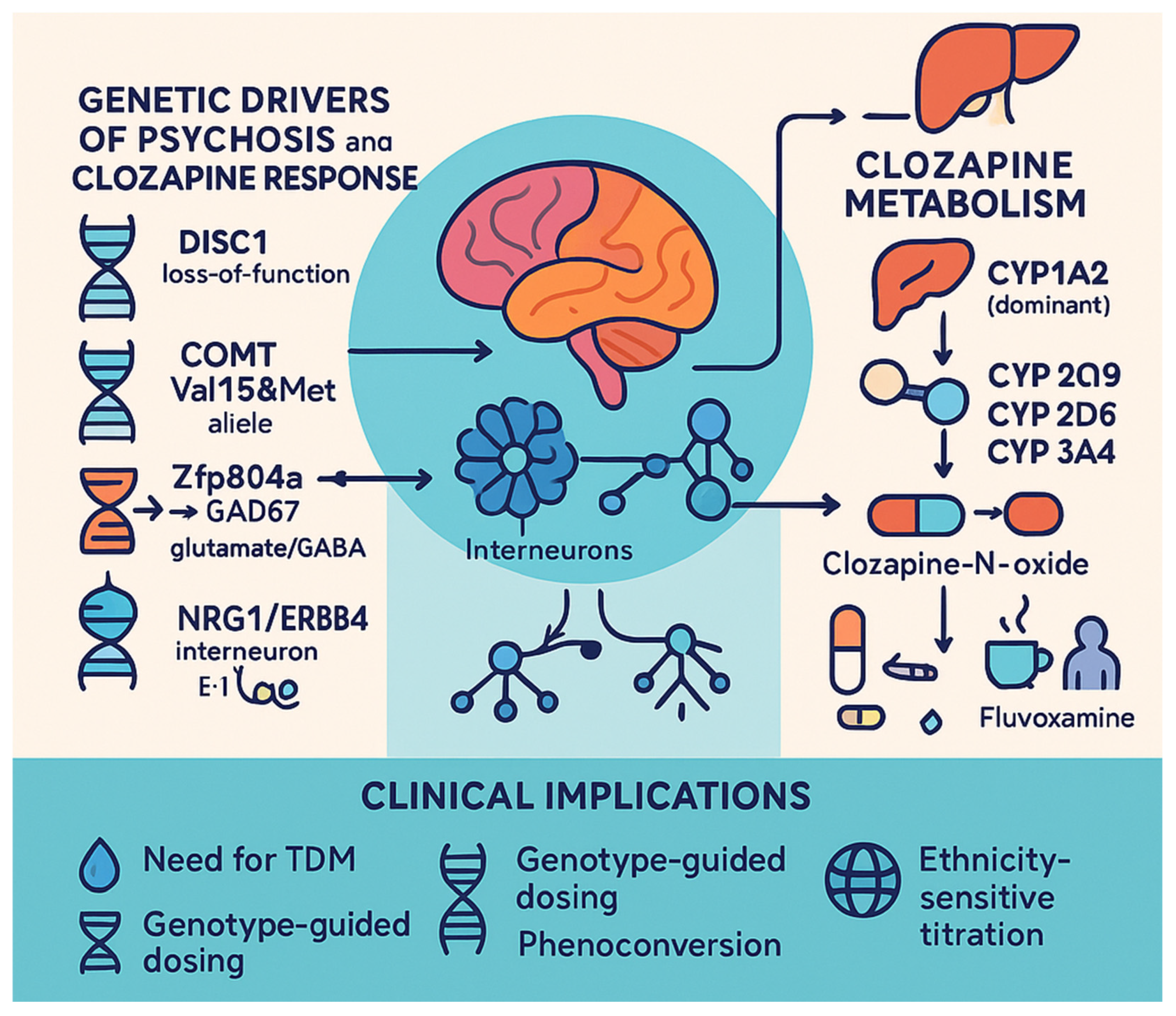 Life 15 00830 g002 Life 15 00830 g002