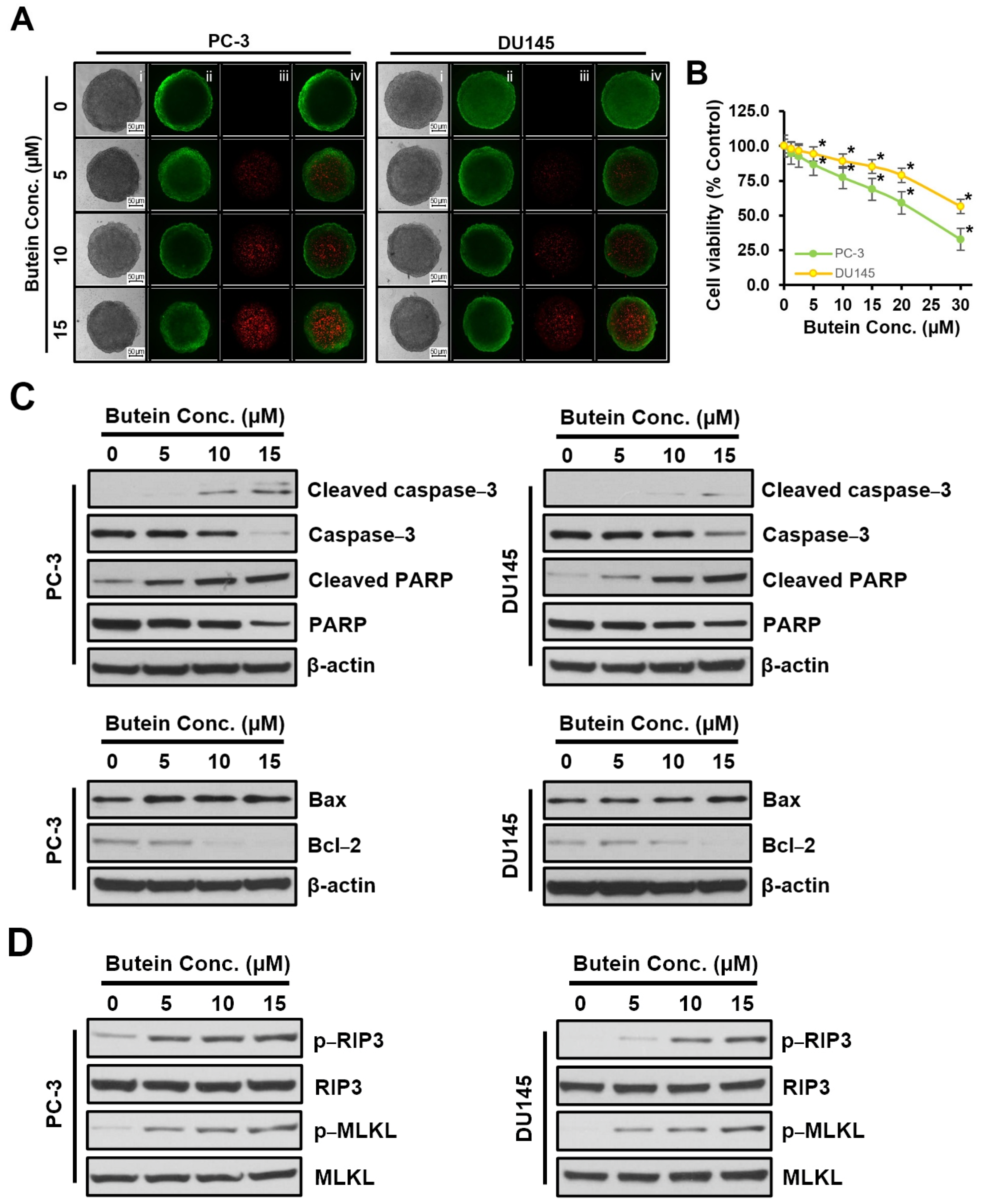 Life 15 00836 g005 Life 15 00836 g005