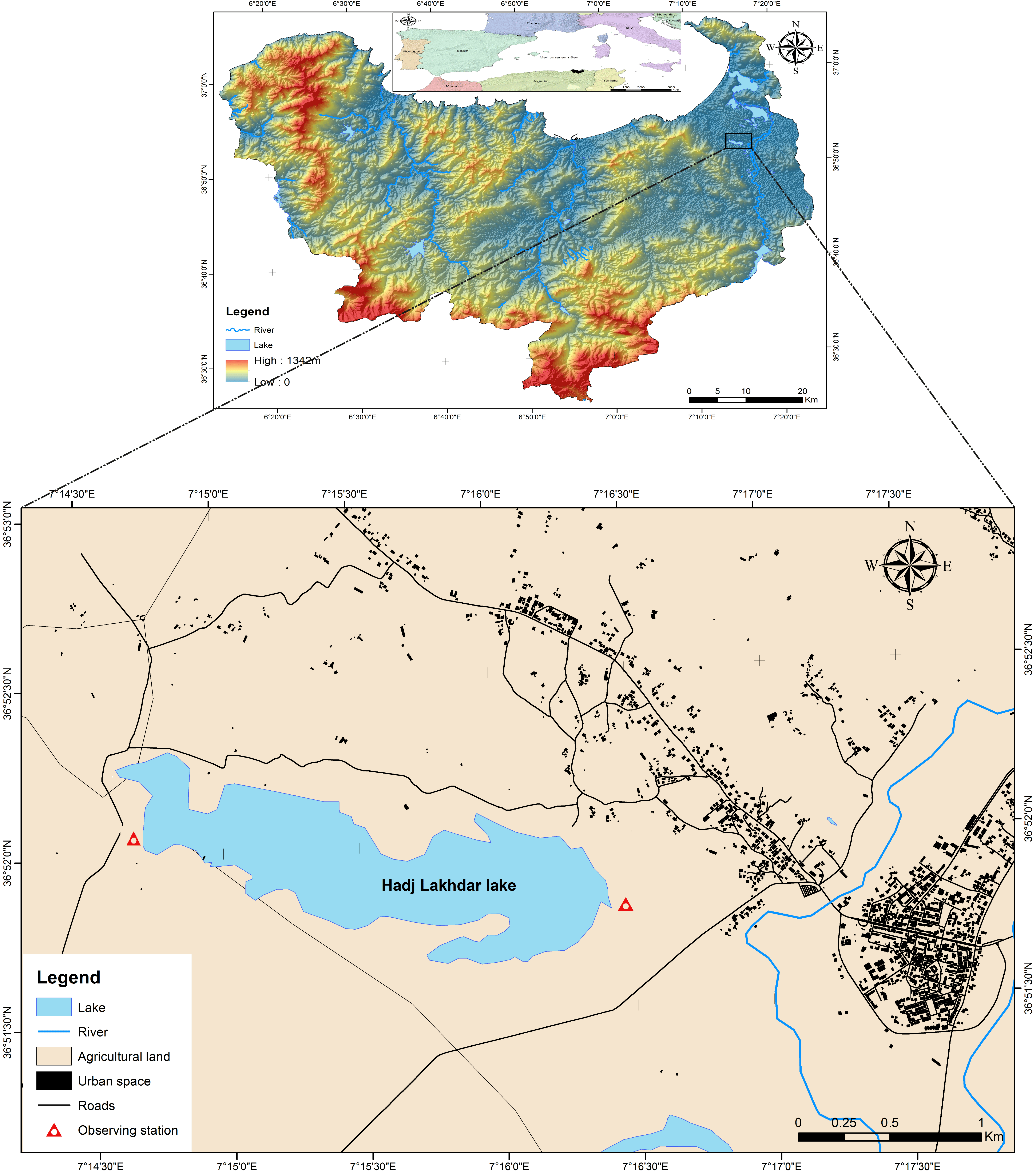 Life 15 00892 g001 Life 15 00892 g001