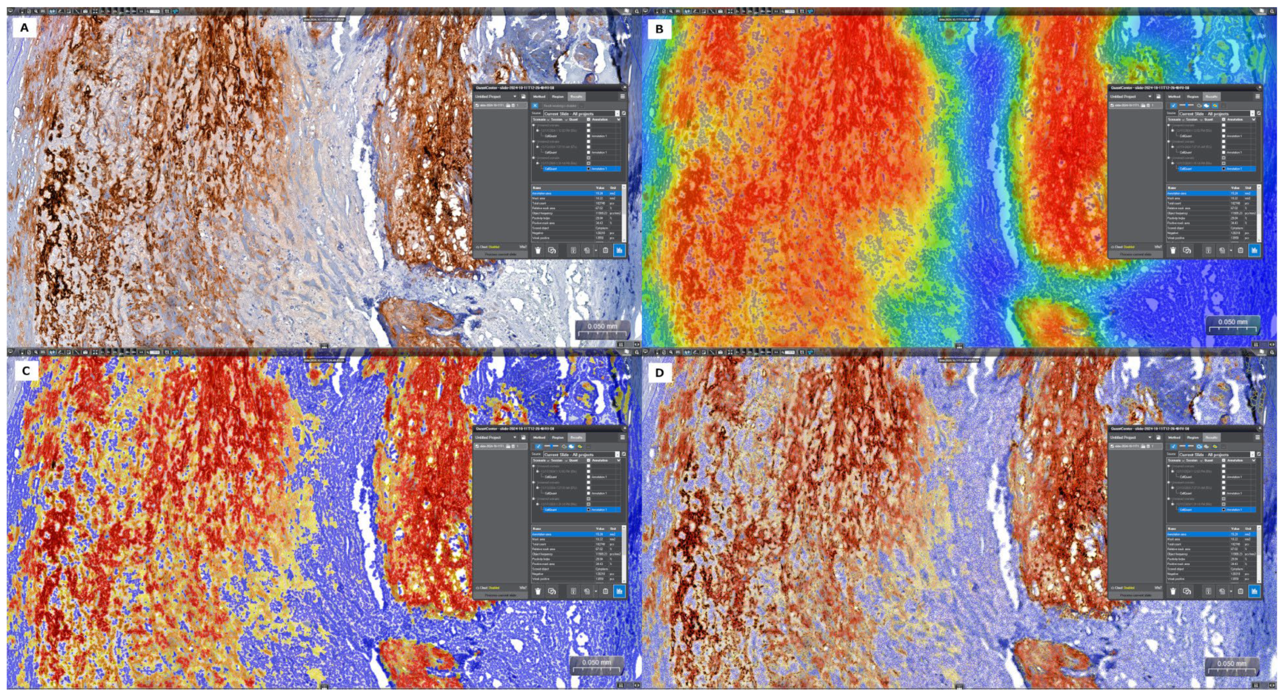 Life 15 01008 g002 Life 15 01008 g002