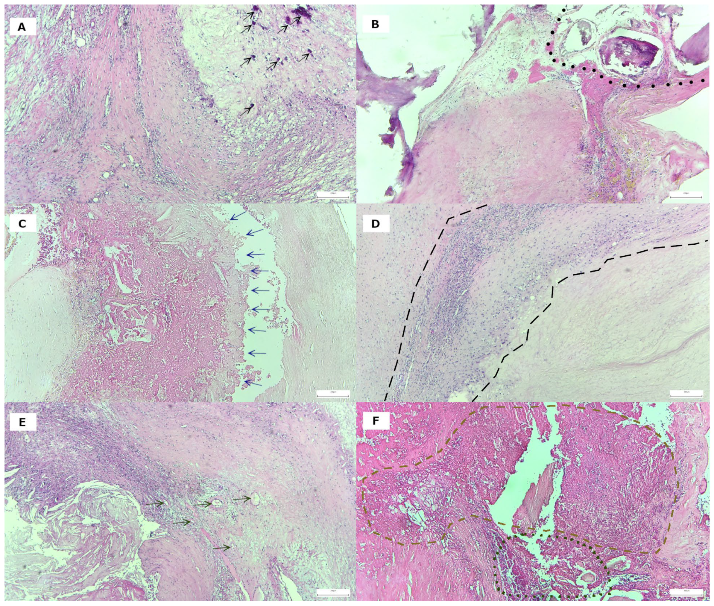 Life 15 01008 g003 Life 15 01008 g003