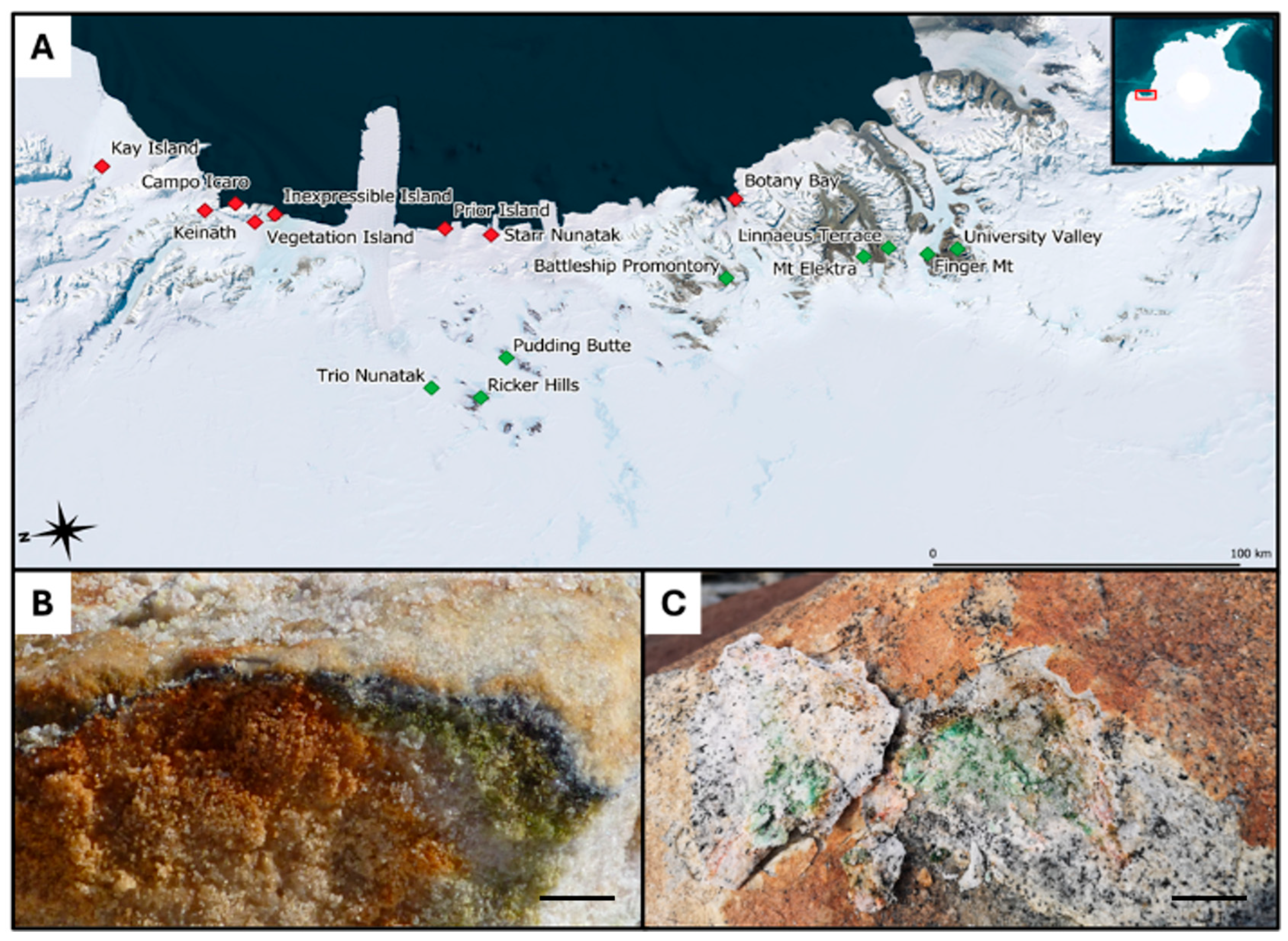 Life 15 01028 g001 Life 15 01028 g001