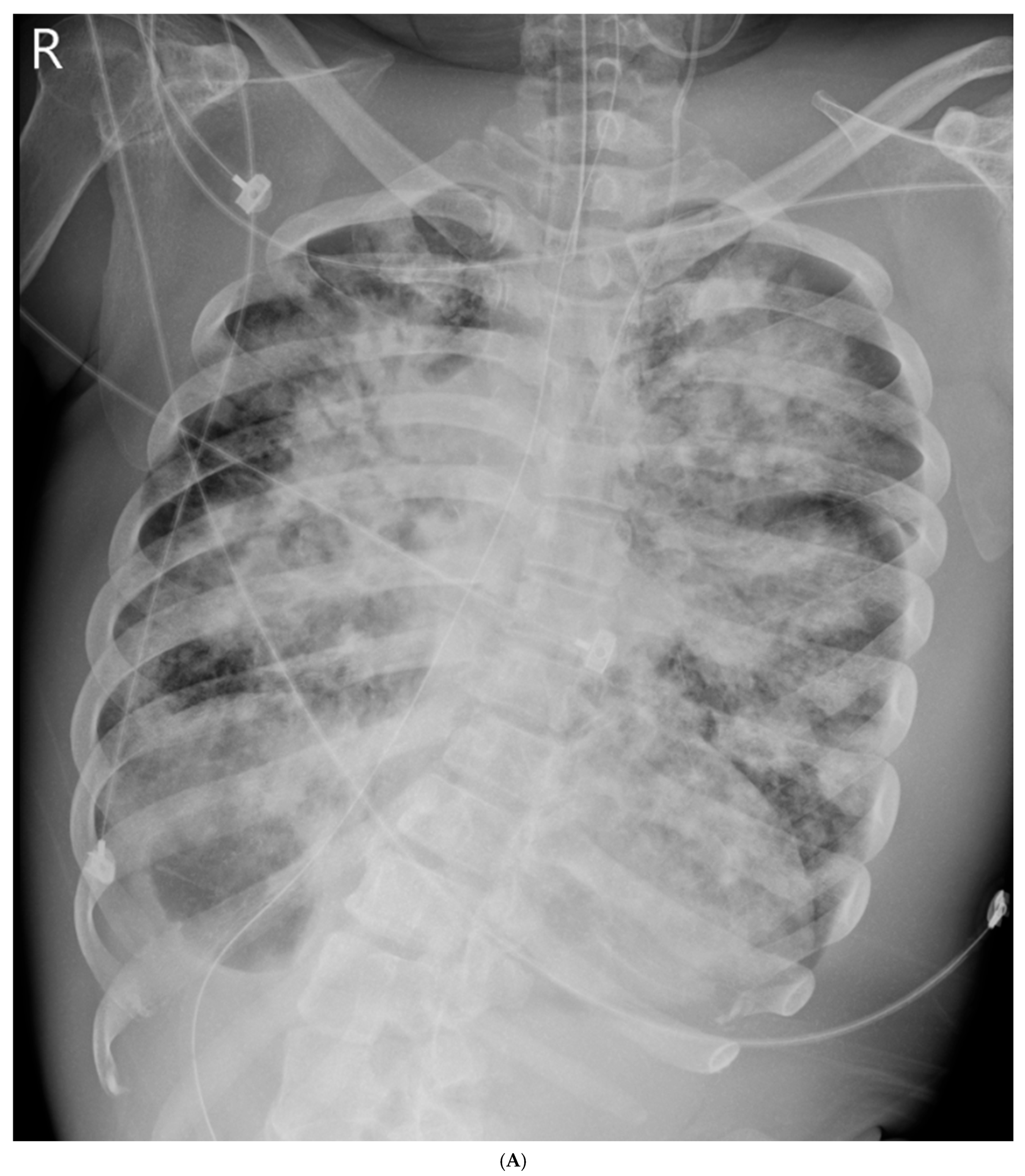 Life 15 01068 g001a Life 15 01068 g001a