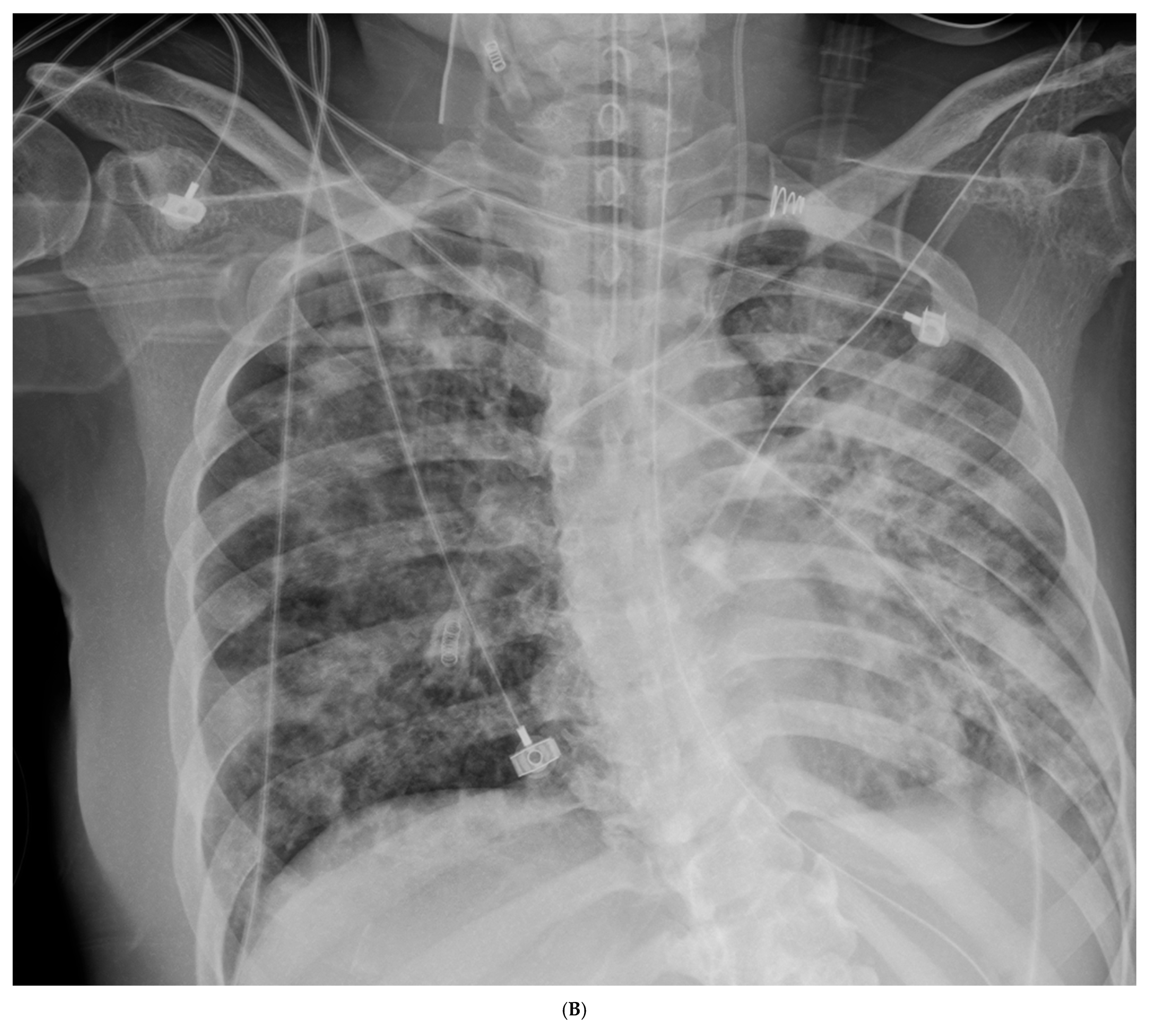 Life 15 01068 g001b Life 15 01068 g001b