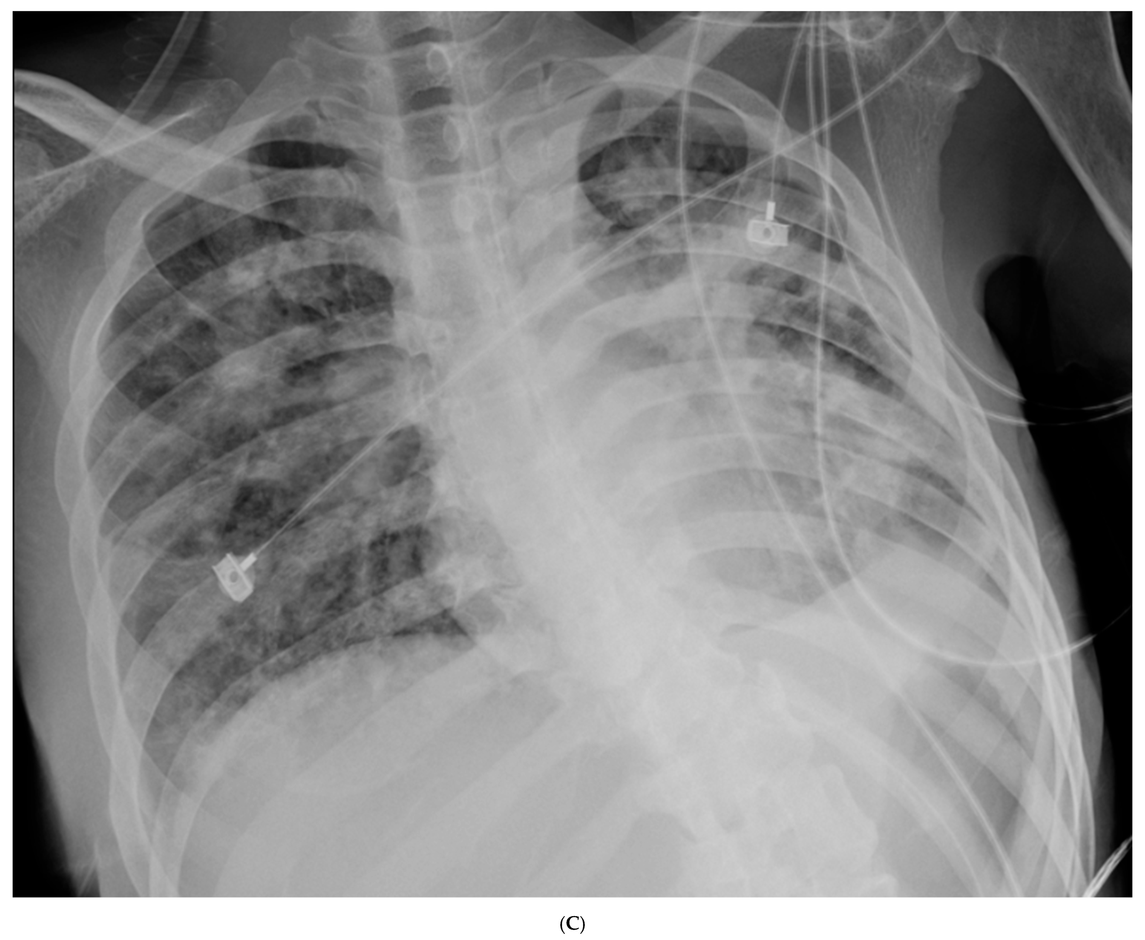 Life 15 01068 g001c Life 15 01068 g001c