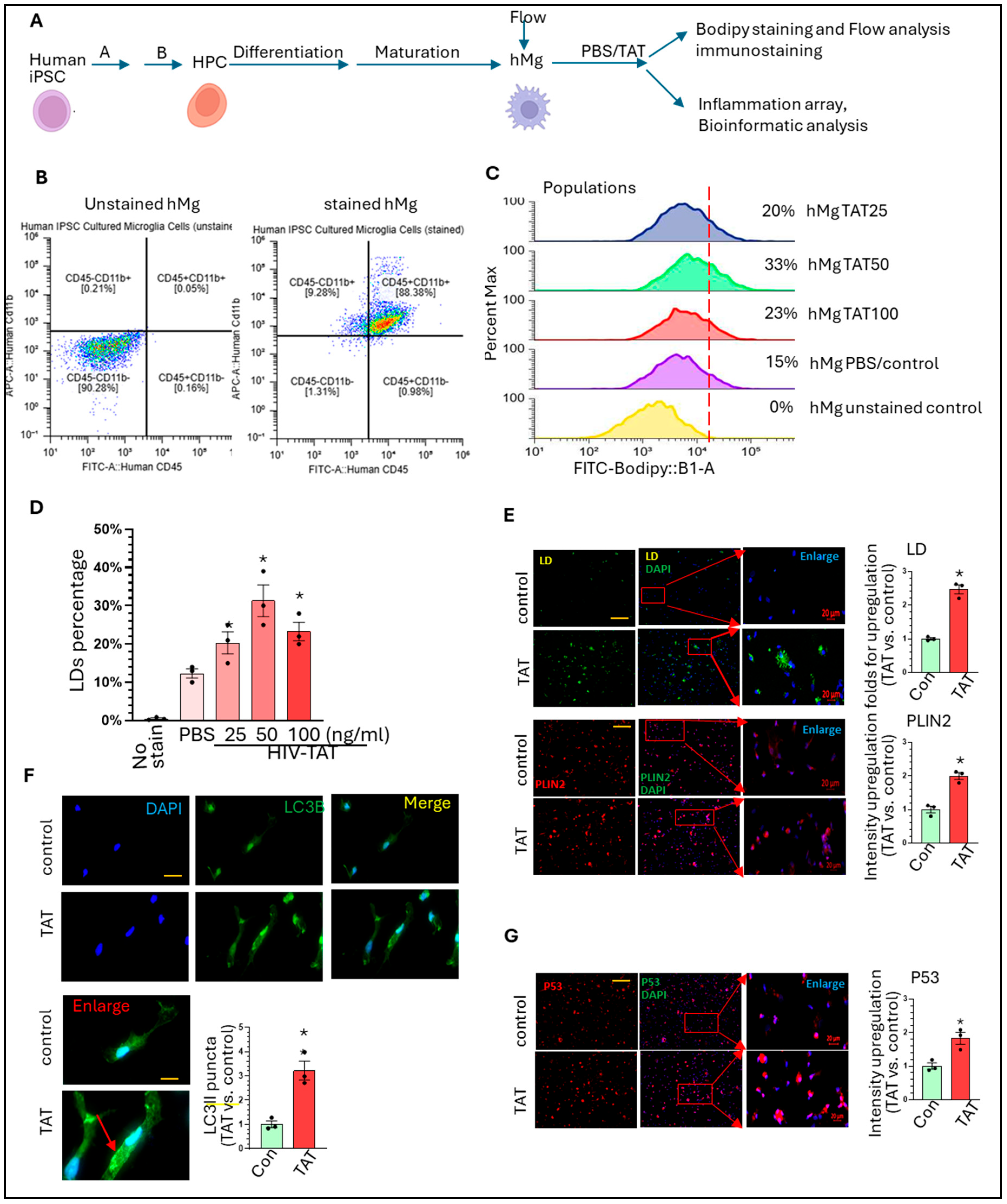 Life 15 01082 g001 Life 15 01082 g001