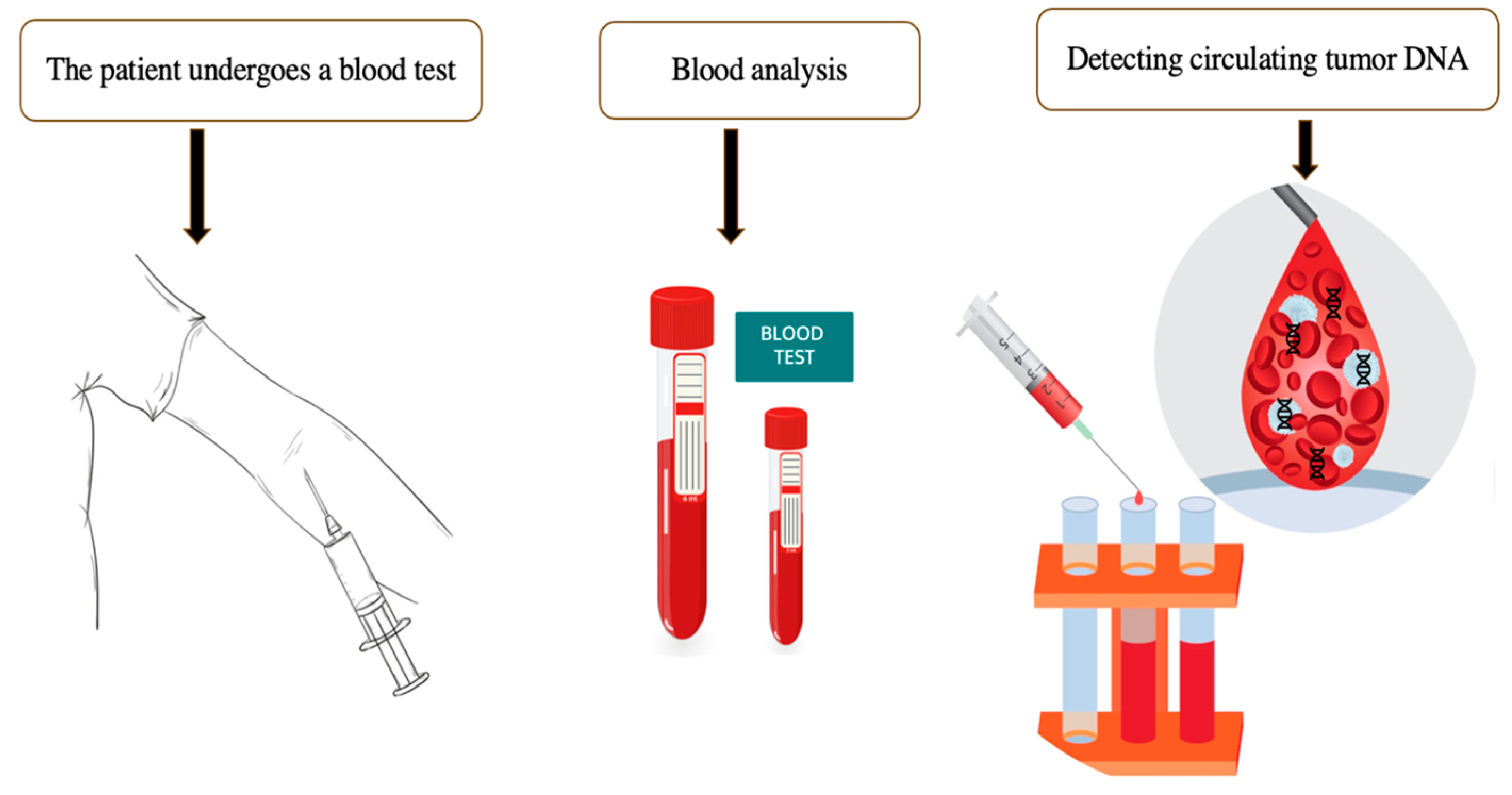 Life 15 01100 g002 Life 15 01100 g002