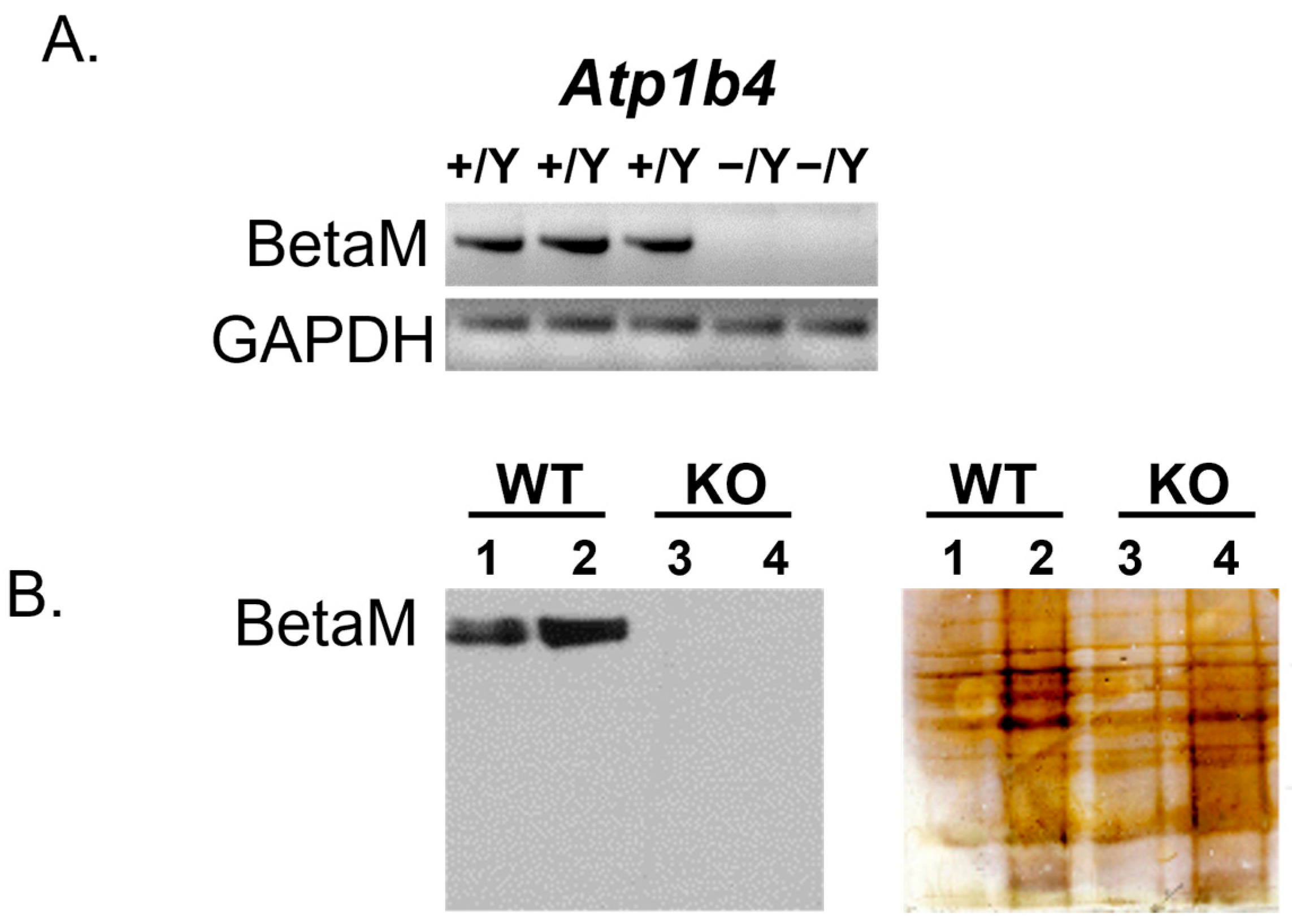 Life 15 01103 g001 Life 15 01103 g001