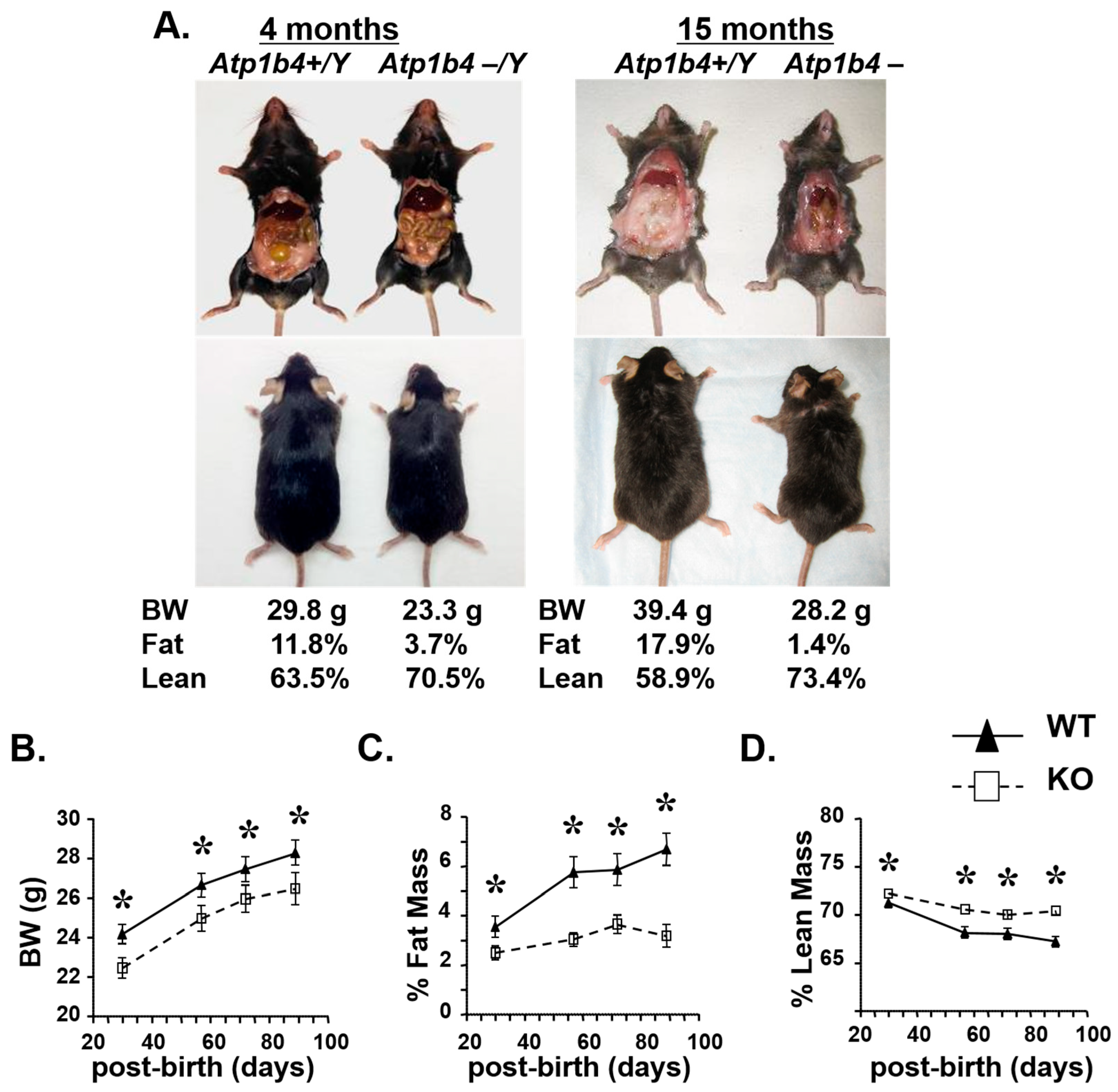 Life 15 01103 g002 Life 15 01103 g002