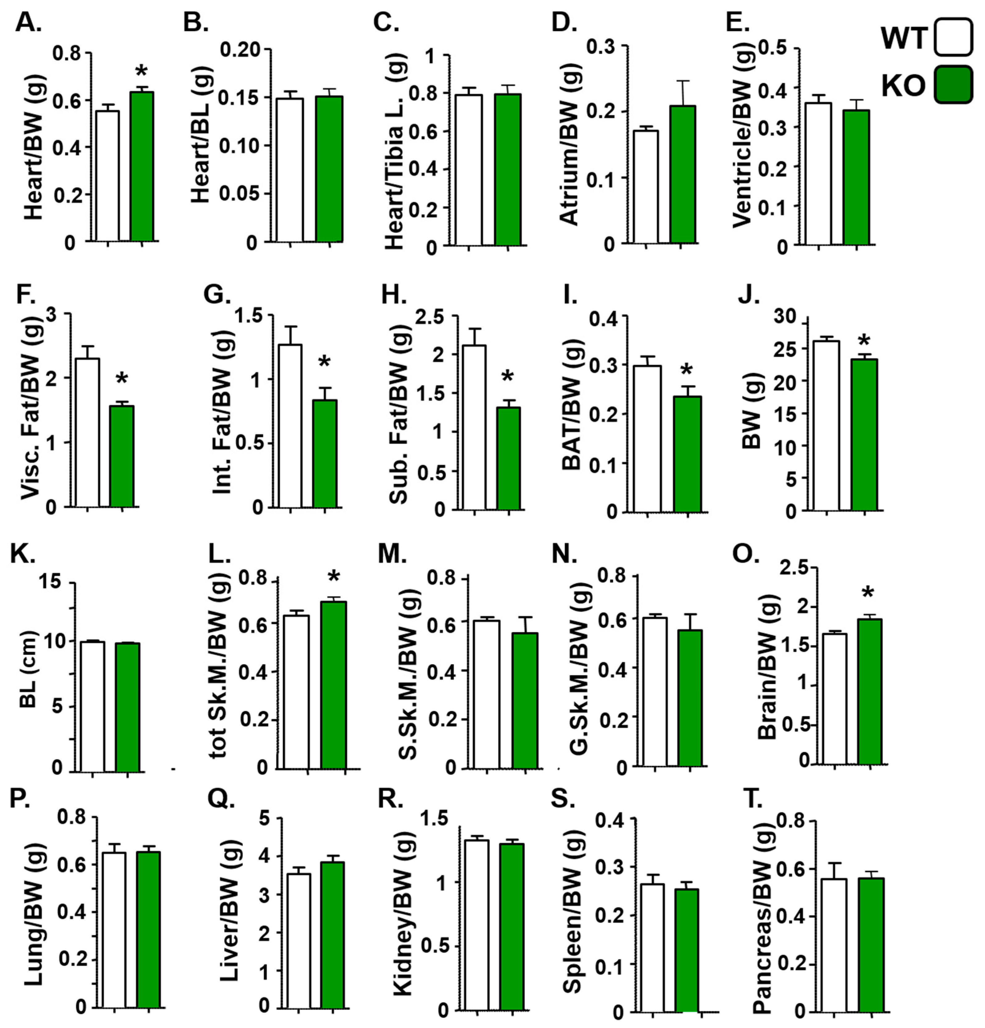 Life 15 01103 g003 Life 15 01103 g003