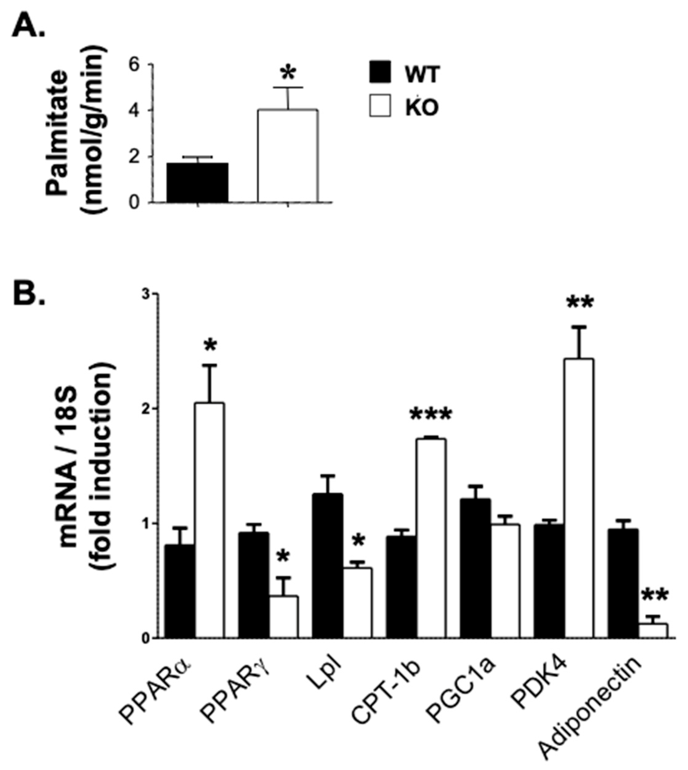 Life 15 01103 g005 Life 15 01103 g005