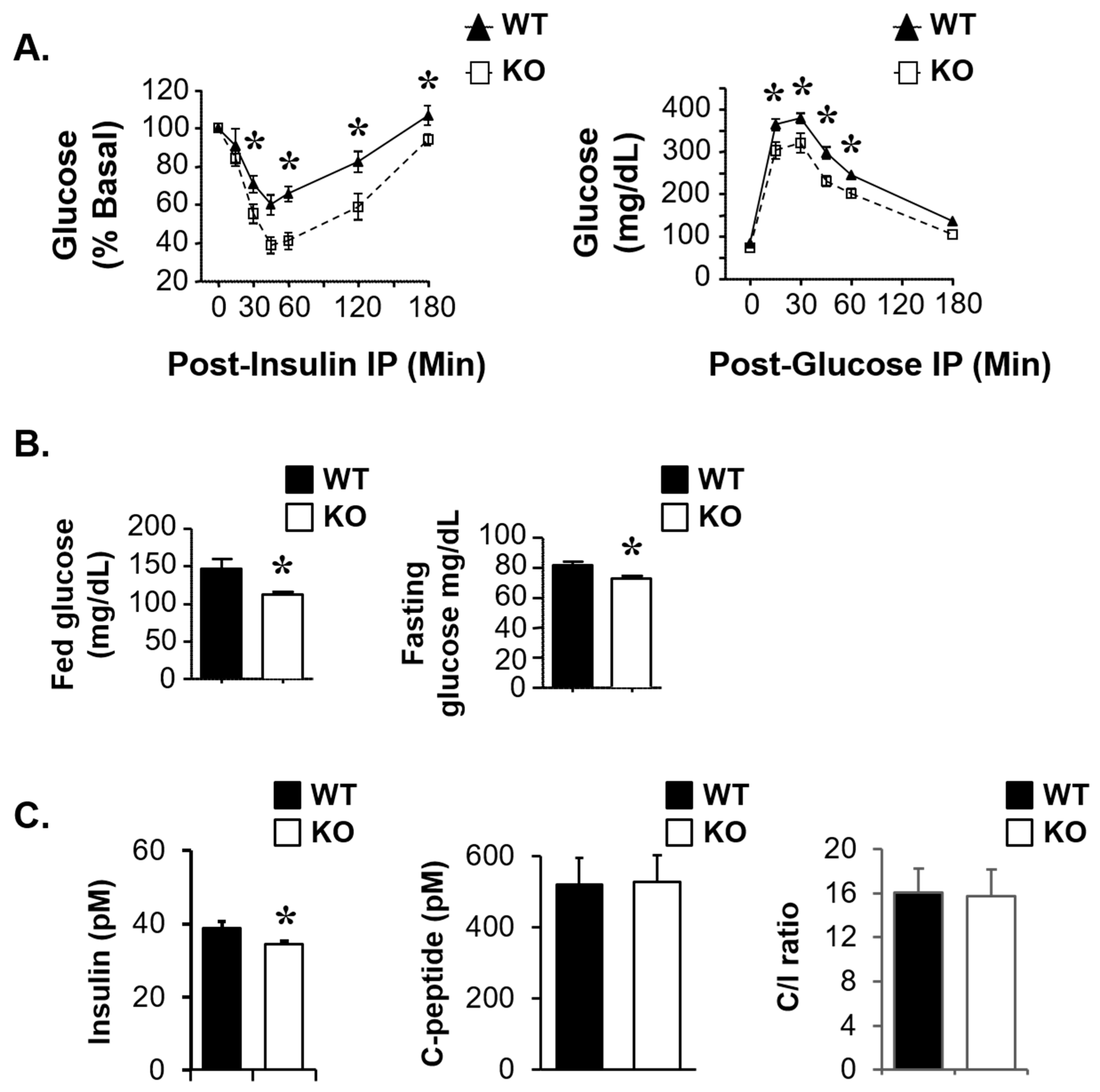 Life 15 01103 g006 Life 15 01103 g006