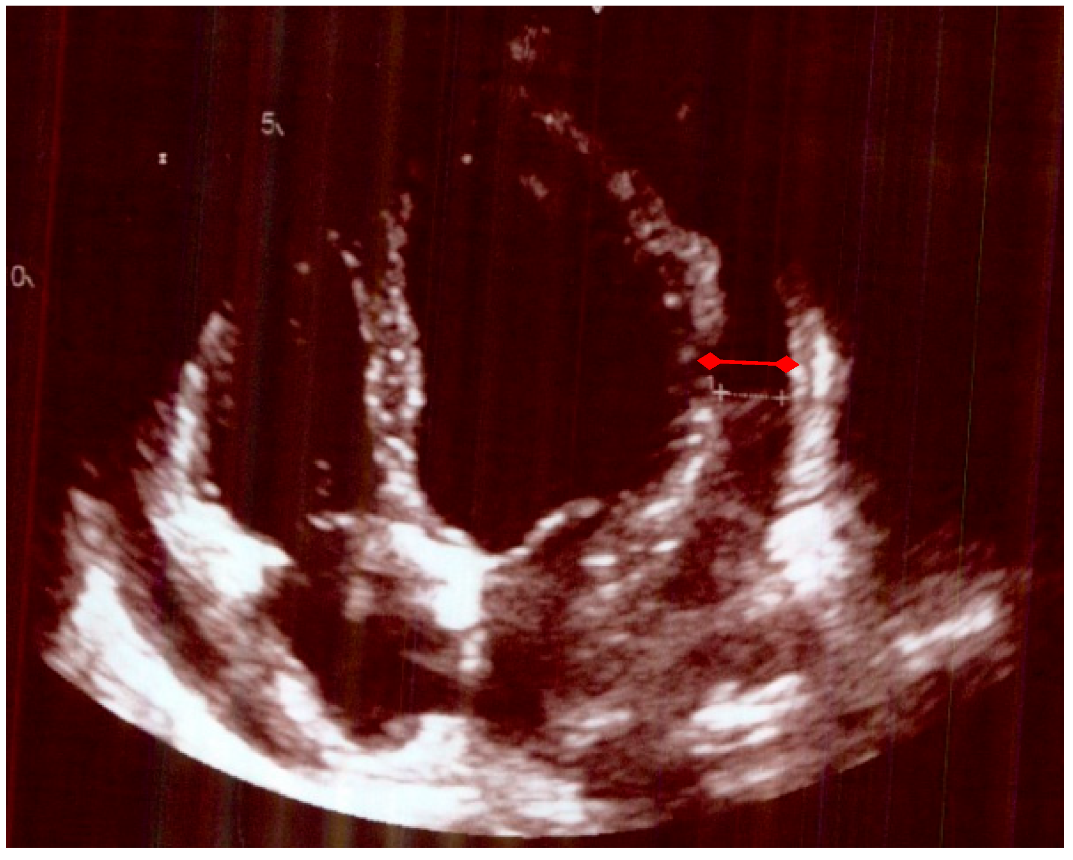 Life 15 01131 g001 Life 15 01131 g001