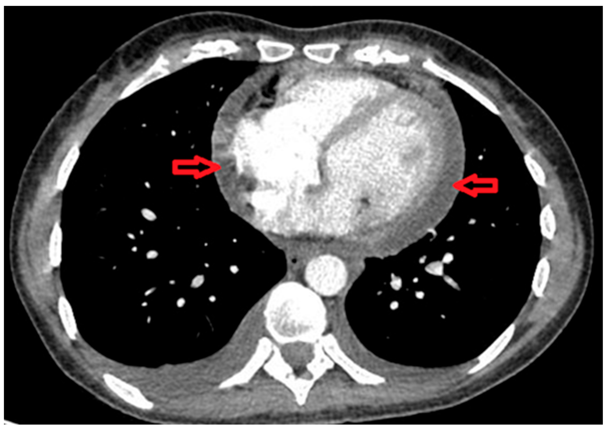 Life 15 01131 g002 Life 15 01131 g002